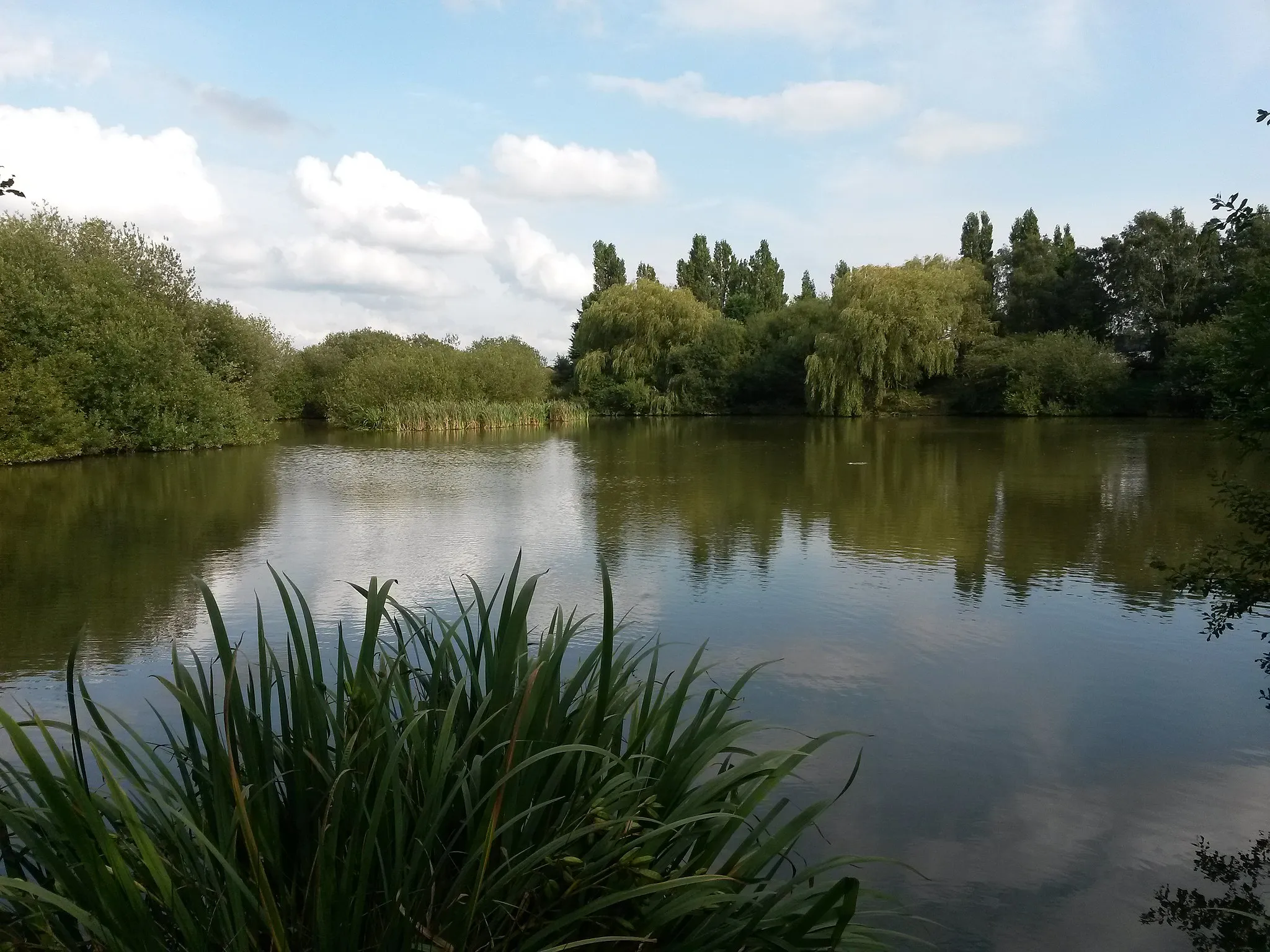 Photo showing: Small lake near Brick Kilm Holt, Jerusalem, Skellingthorpe. Largest body of water in the parish.