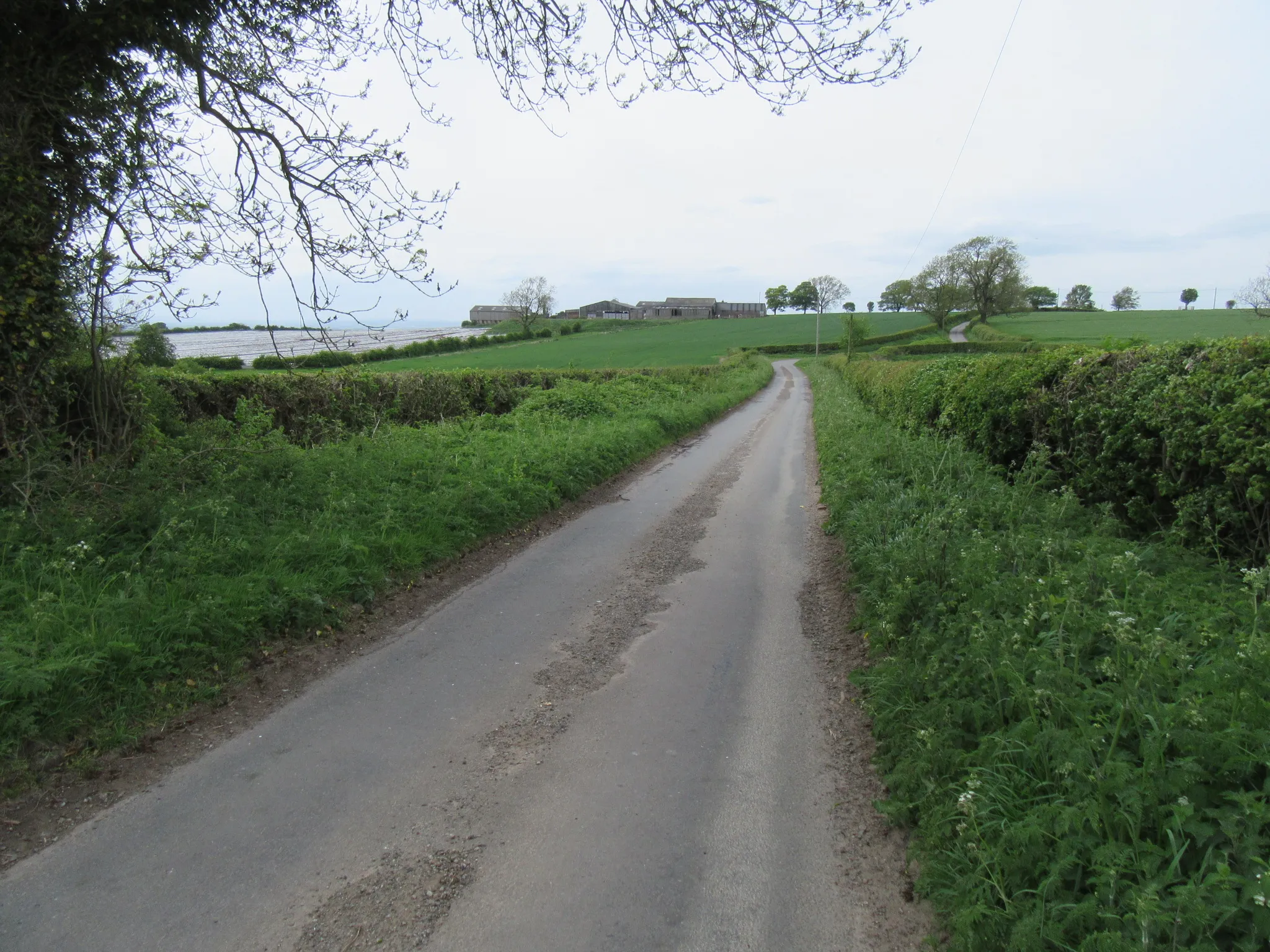 Photo showing: Banks Road