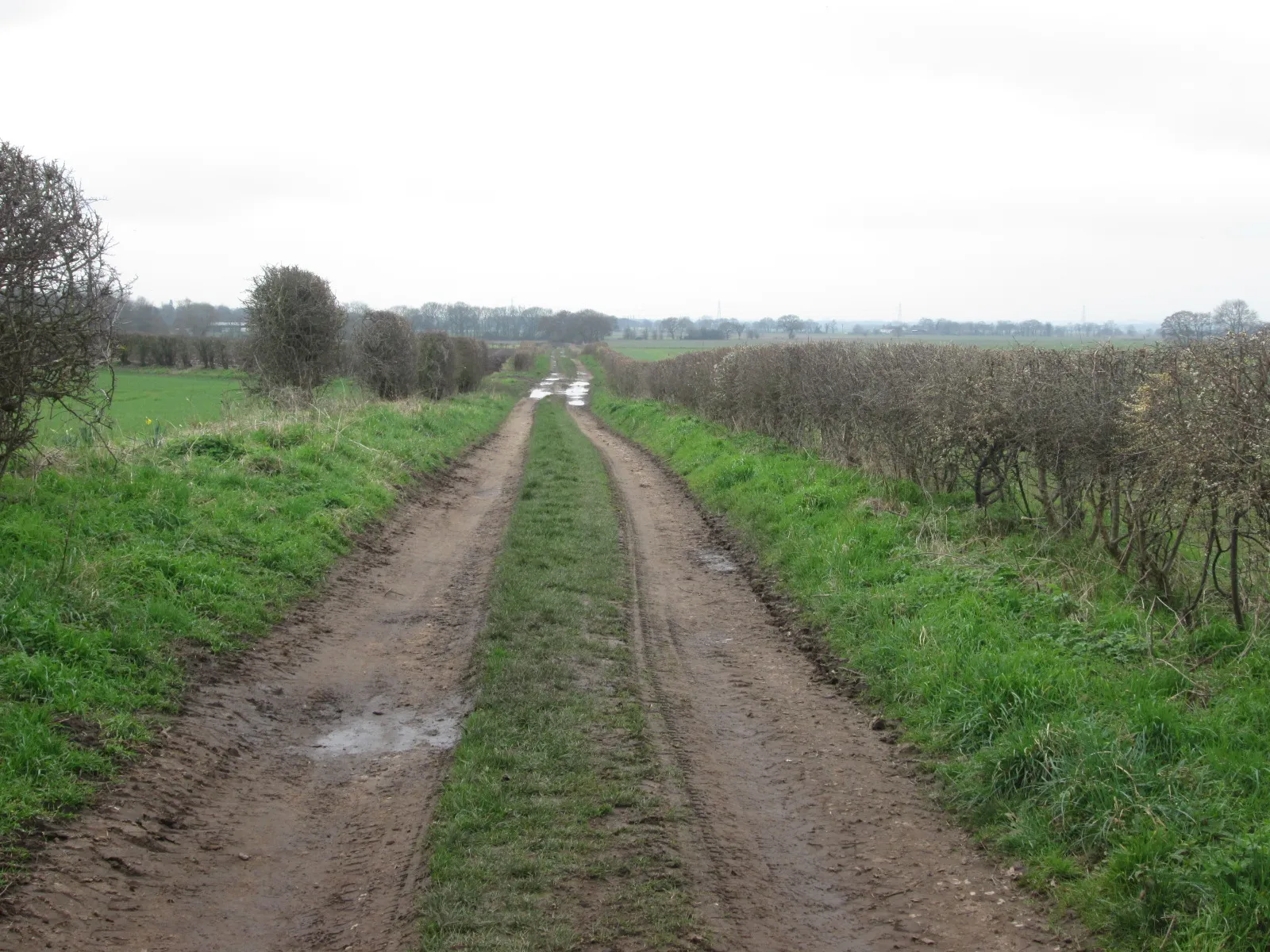 Photo showing: Footpath from Hambleton towards Fox Lane