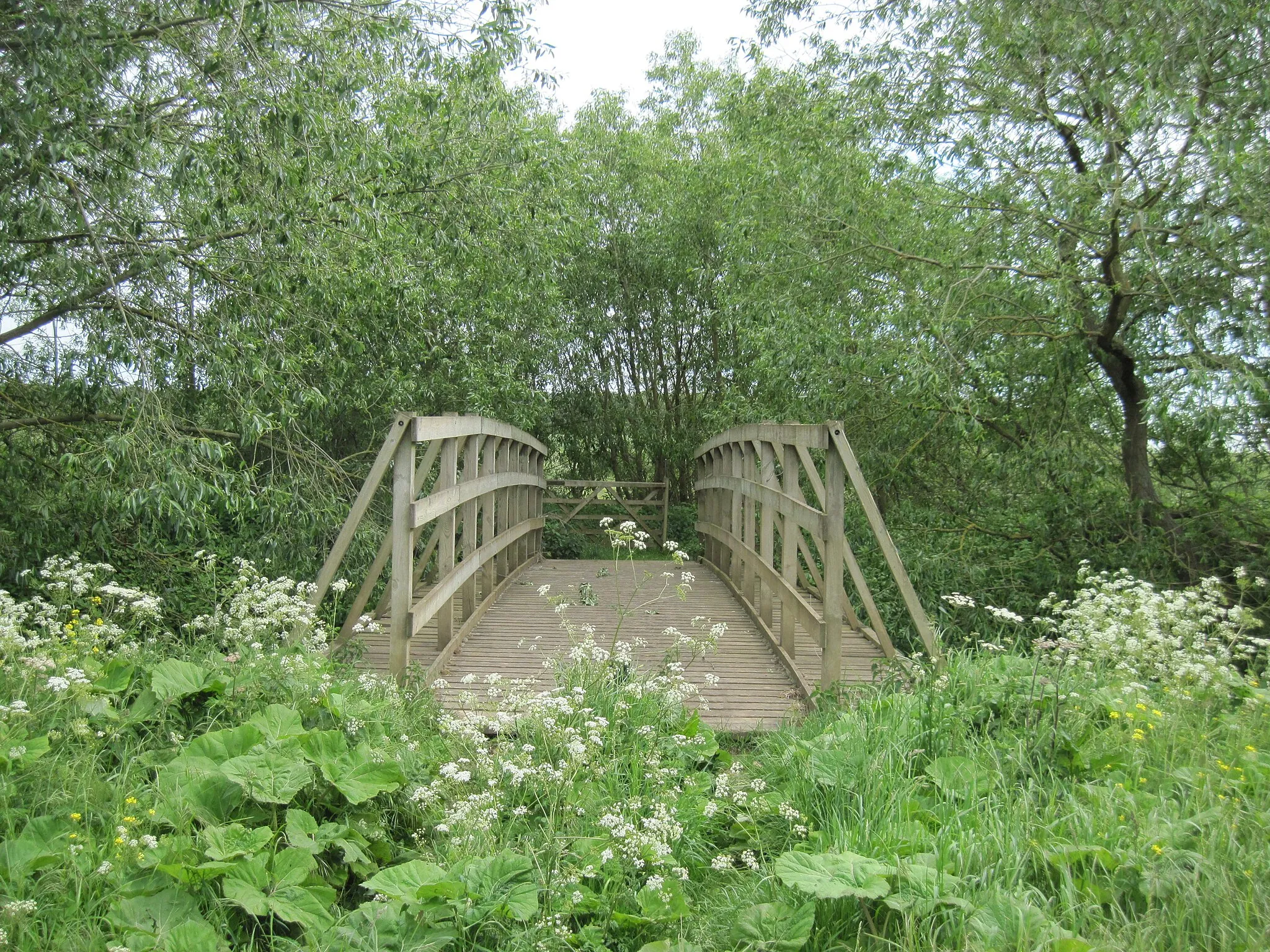 Photo showing: Footbridge  over  the  Foss