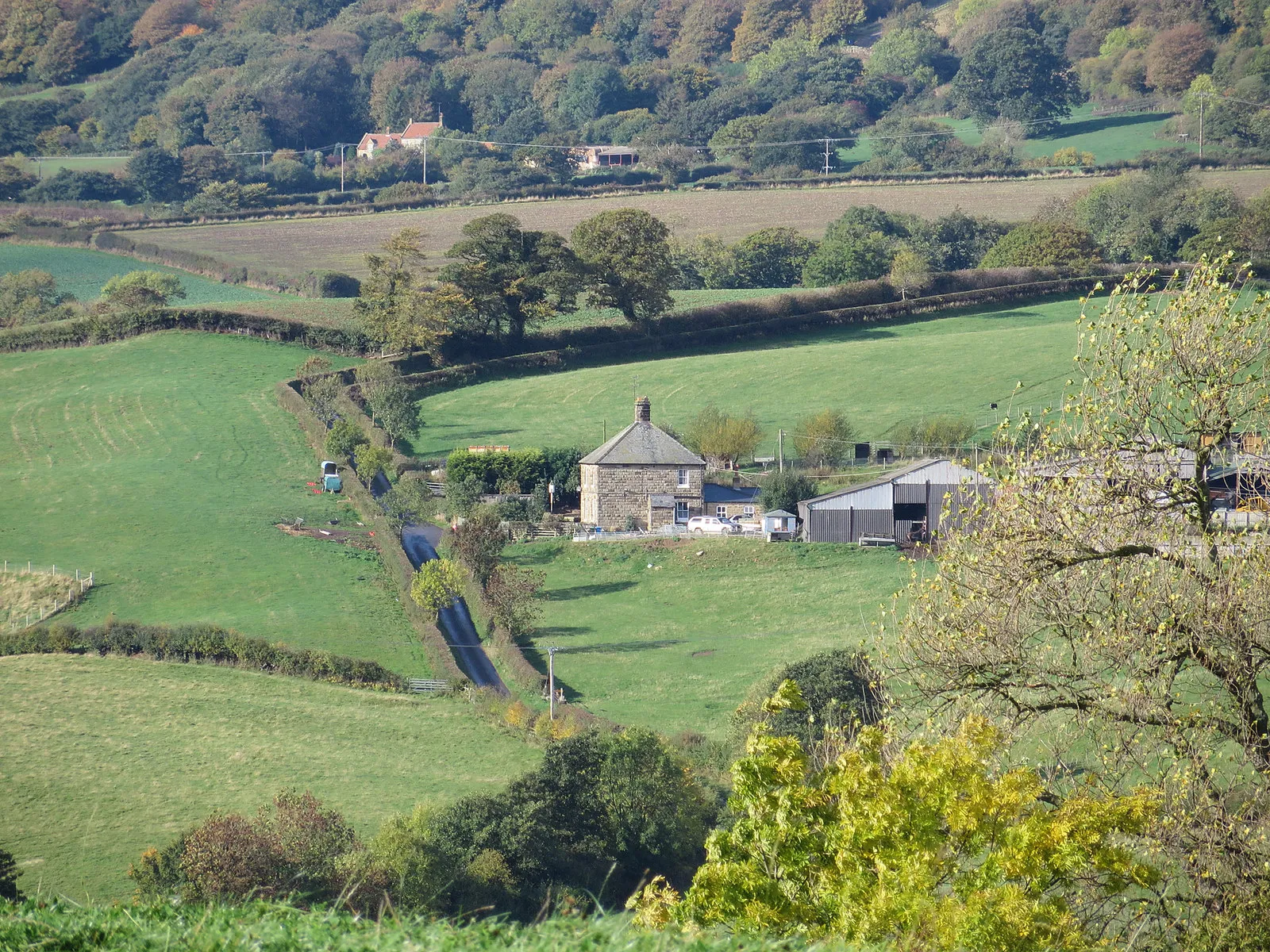 Photo showing: Farm in the Esk Valley
