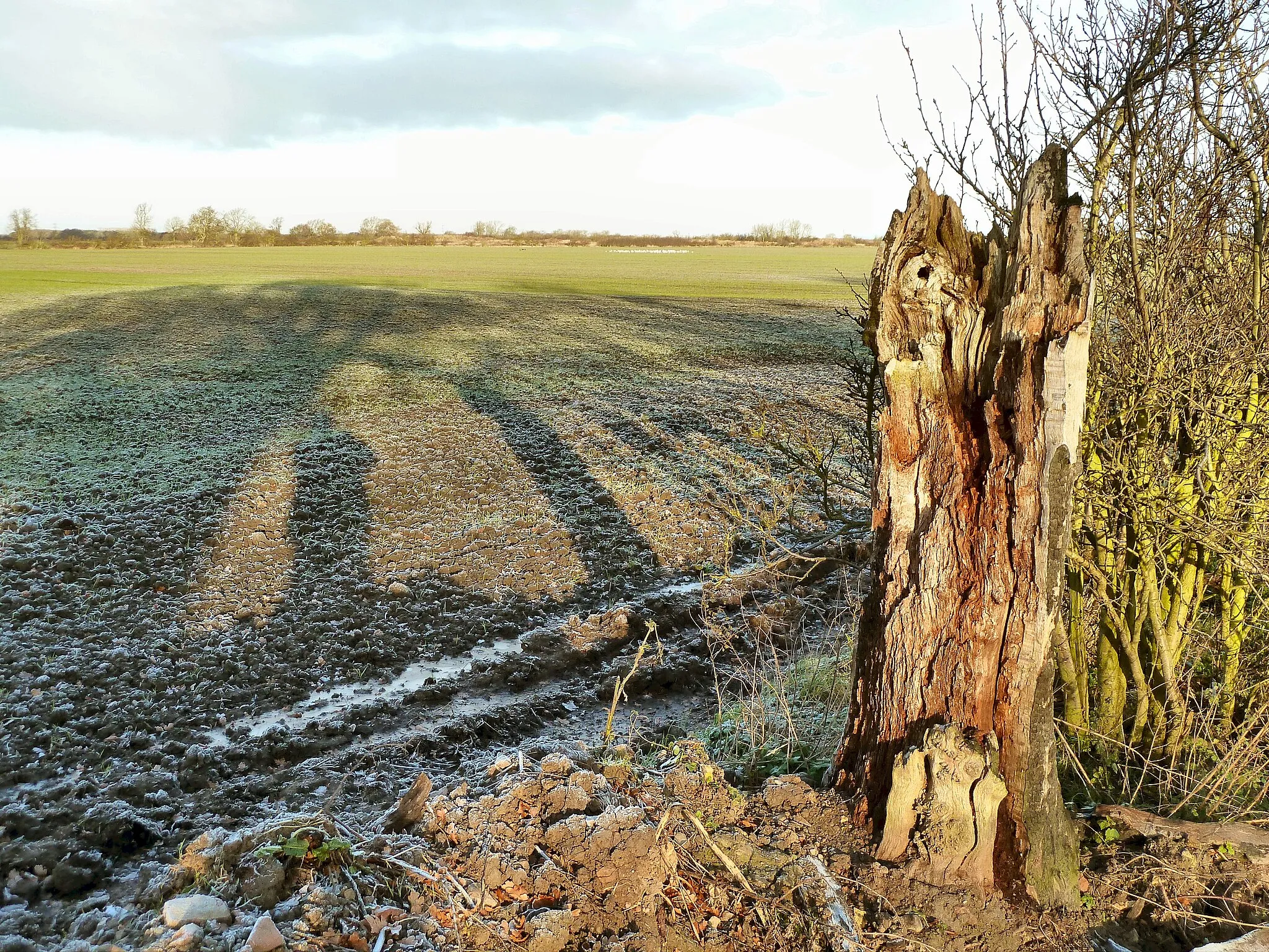 Image of North Yorkshire