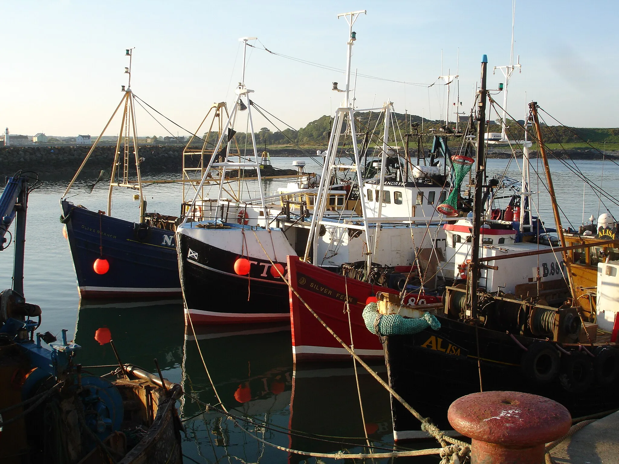 Photo showing: Fishing Boats in Ardglass, County Down, May 2009