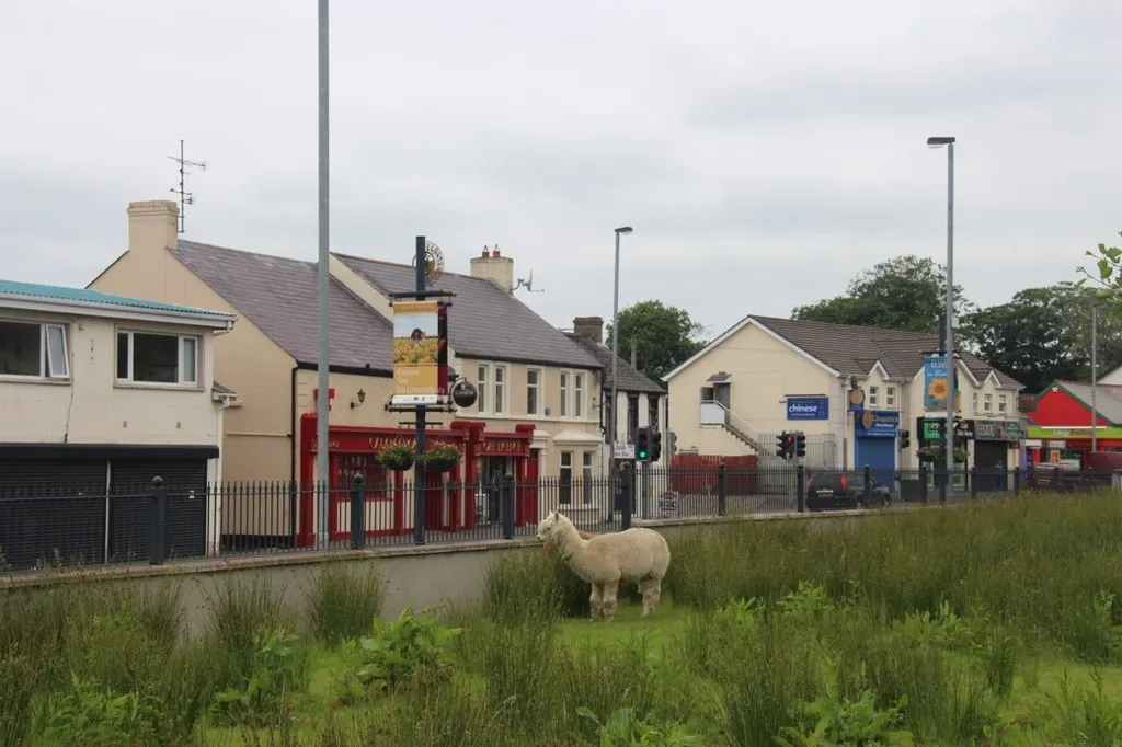 Photo showing: Main Street, Ballykelly village