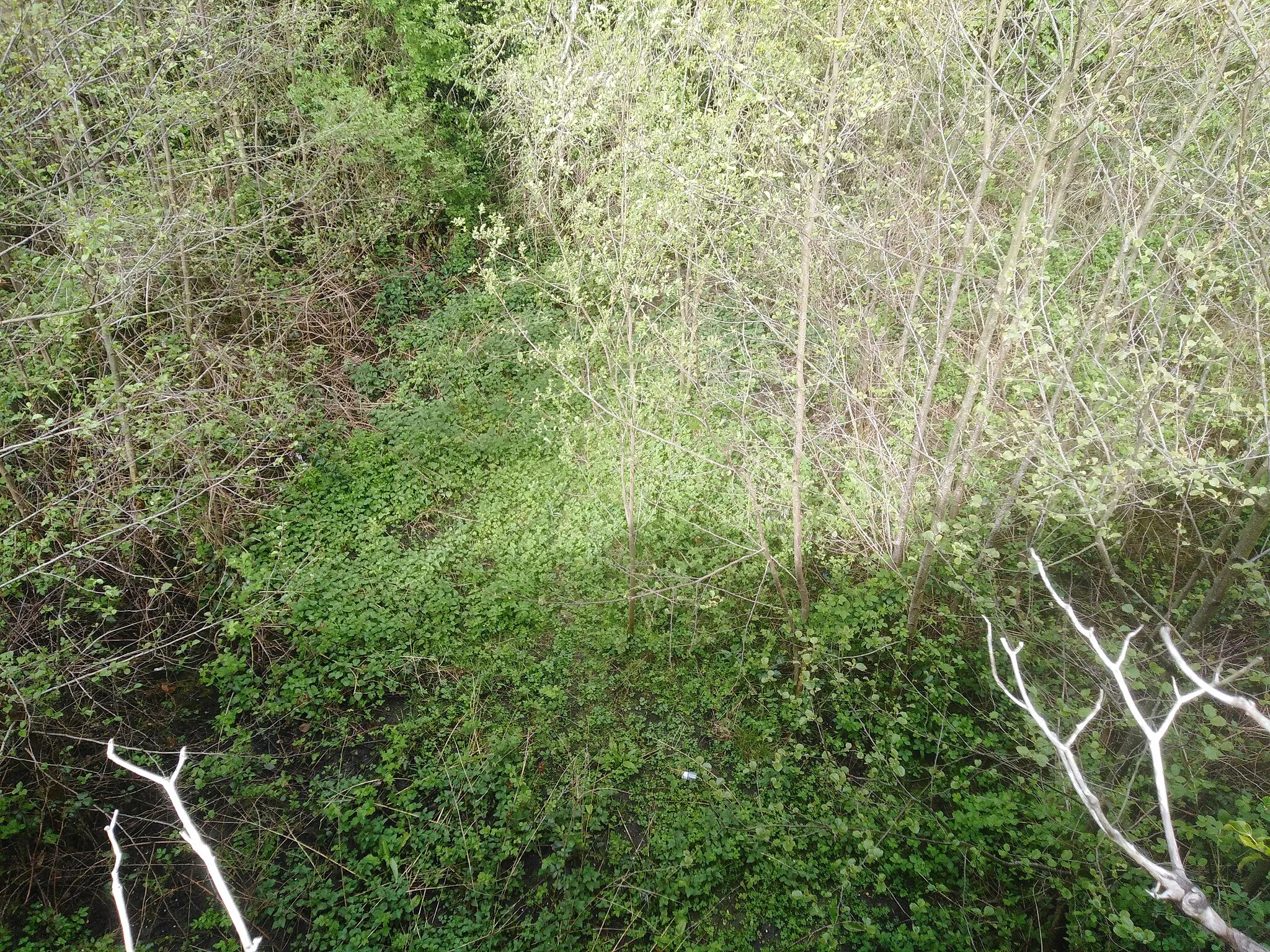 Photo showing: Taken from the Sounding Hill Bridge in Magherafelt Tobermore Road beside Hoggs Quarry