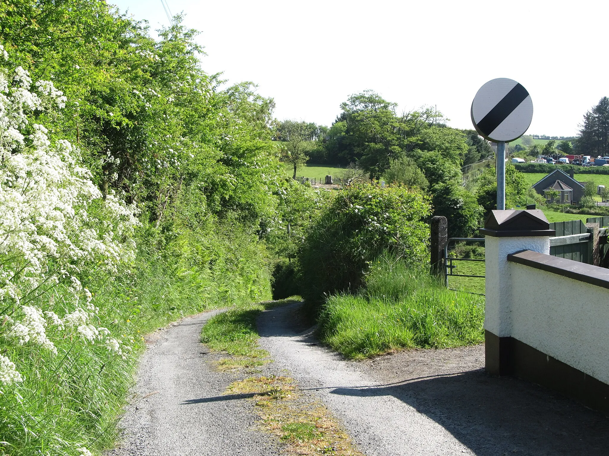 Photo showing: 30mph sign on the Newtownhamilton end of Hawthorn Lane