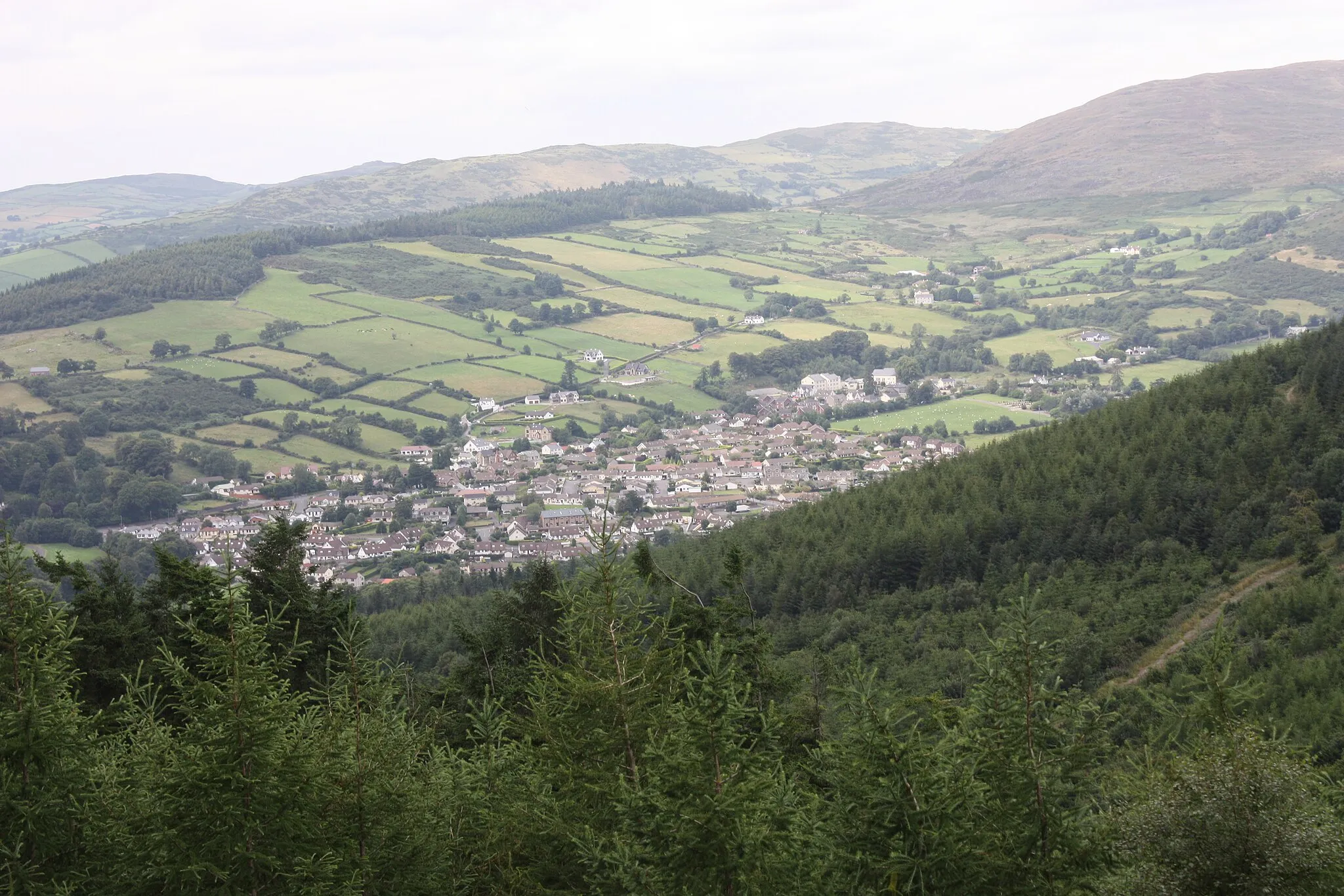 Photo showing: Rostrevor, County Down, Northern Ireland, July 2010 (viewed from Rostrevor Forest)