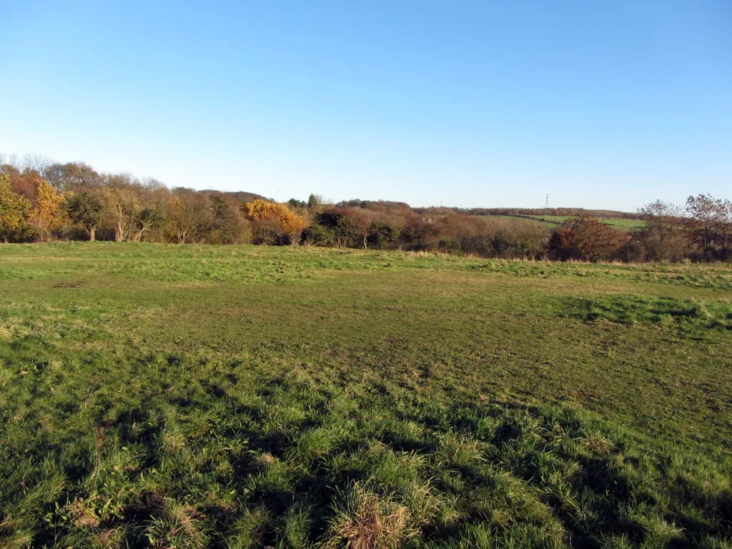 Photo showing: Pasture between Newburn Road and Walbottle Dene