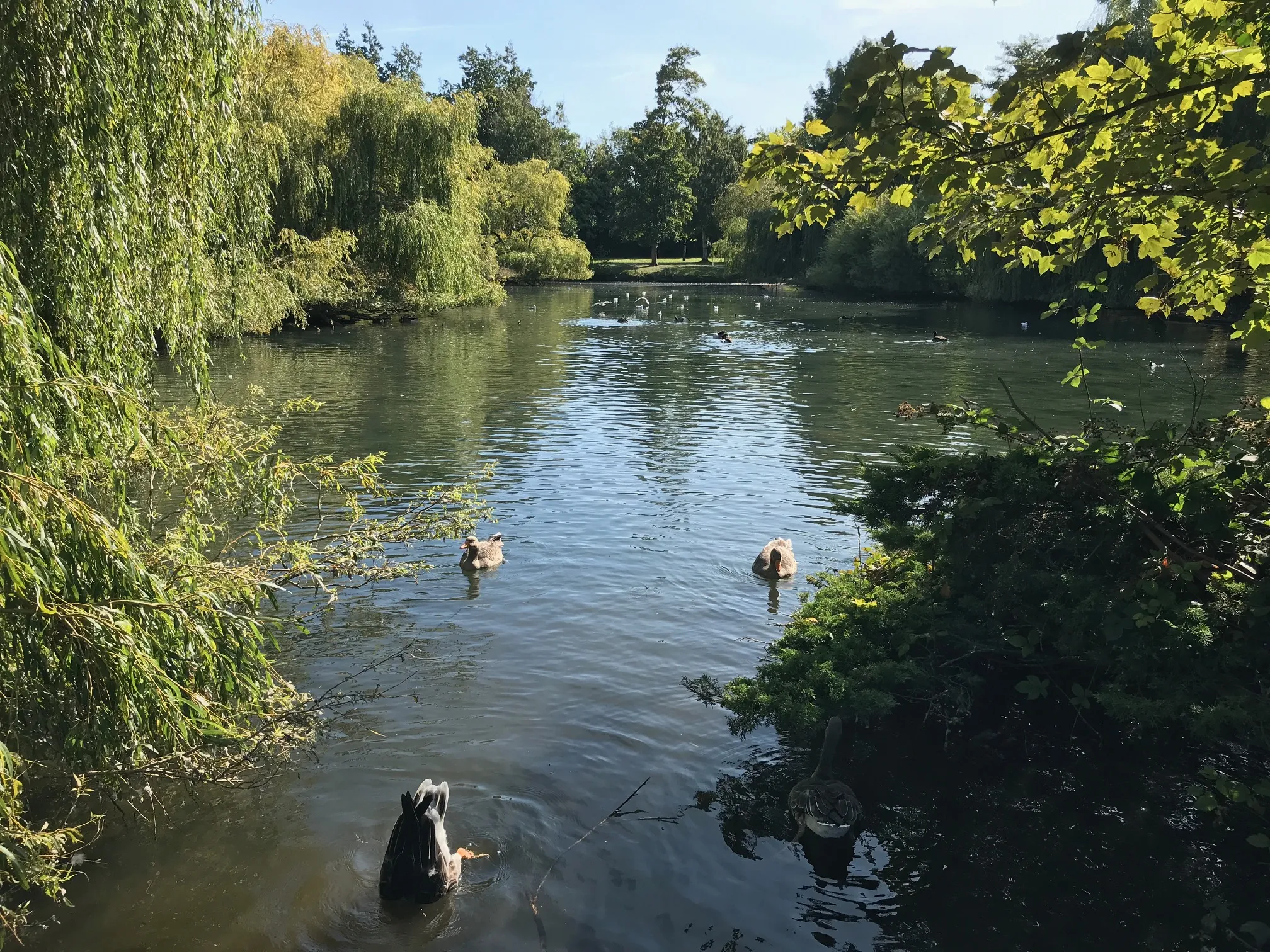 Image of Outer London — South