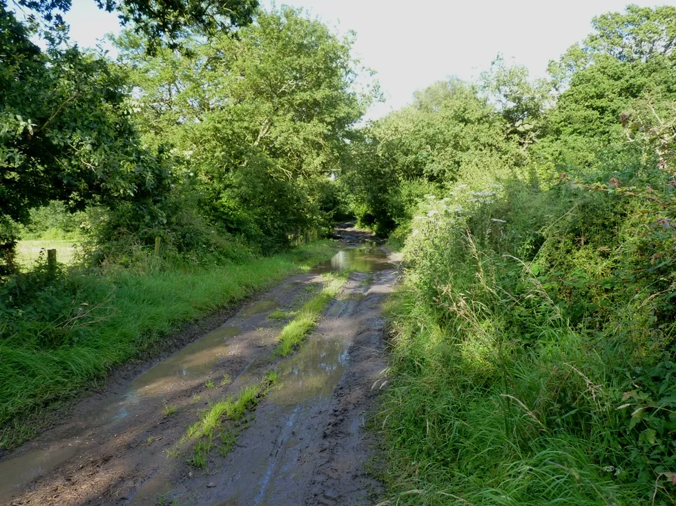 Image of Shropshire and Staffordshire