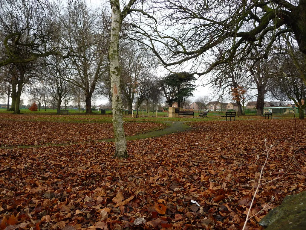 Photo showing: Fallen leaves in the park, Adwick le Street