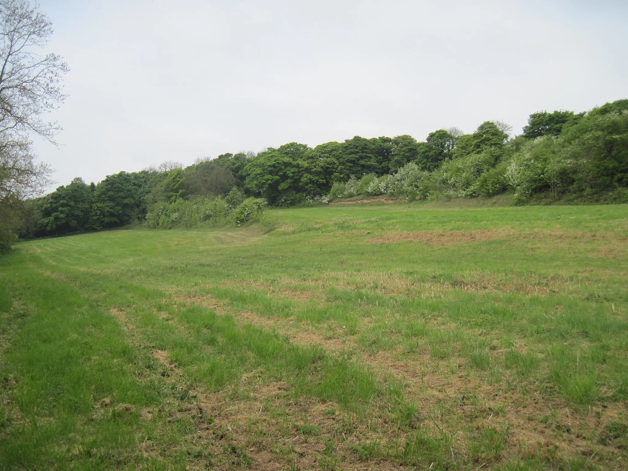 Photo showing: Along  Barnburgh  Cliff