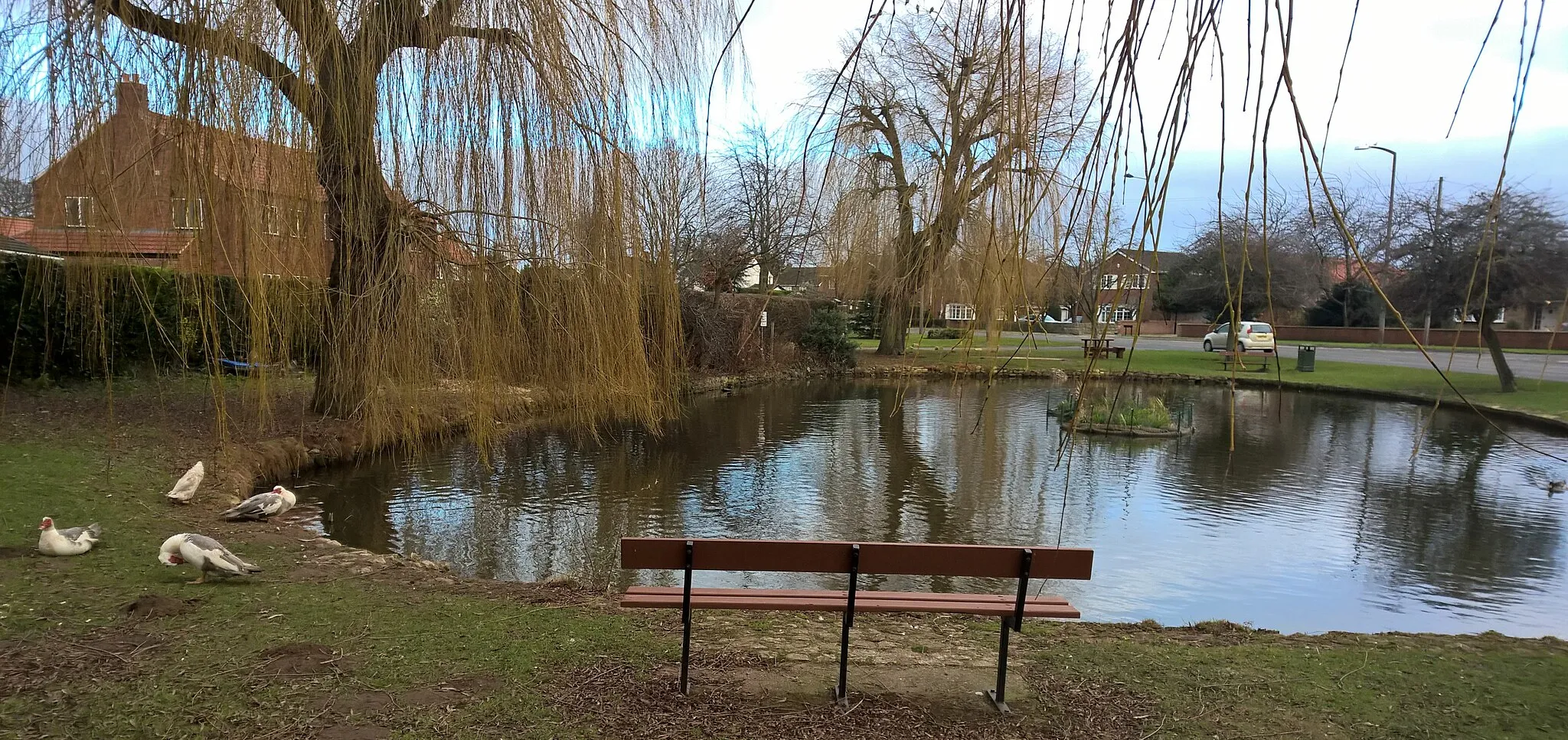 Photo showing: Finningley duck pond