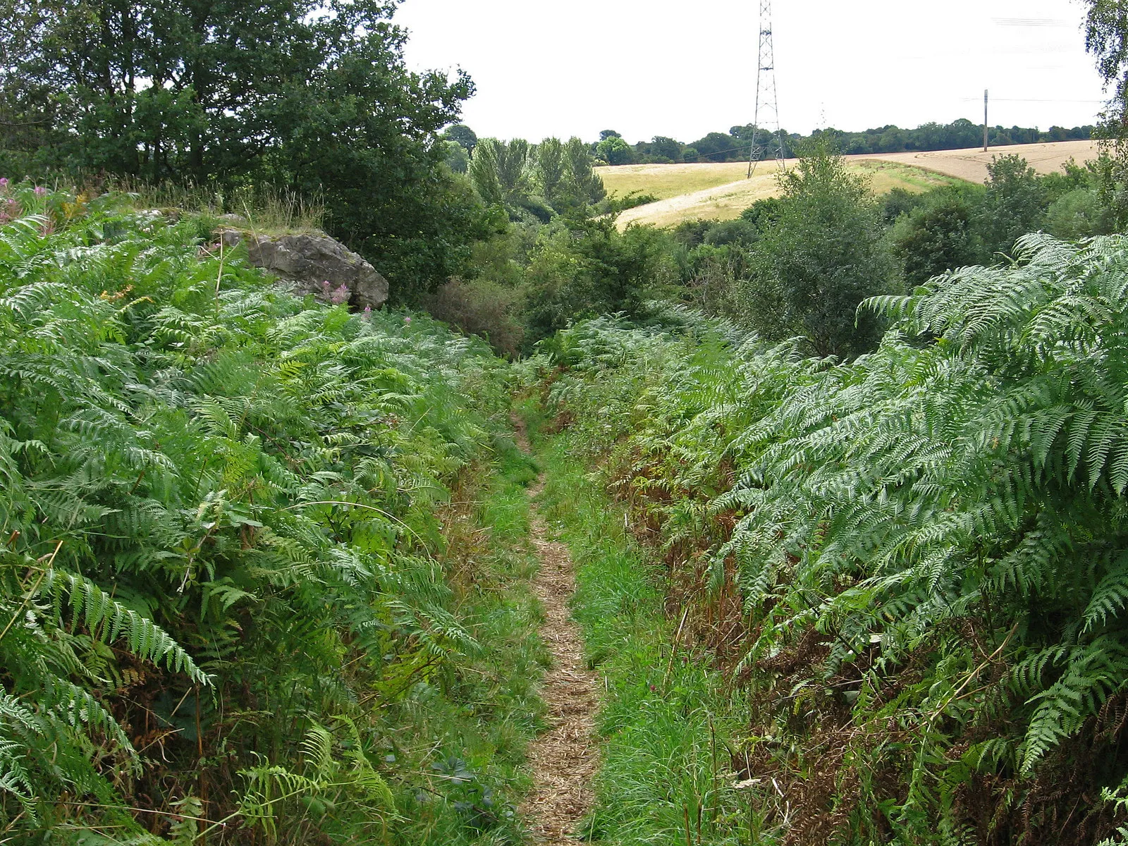 Photo showing: Maltby - footpath from war memorial to Wood Lee