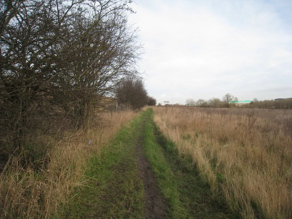 Photo showing: Alongside the motorway