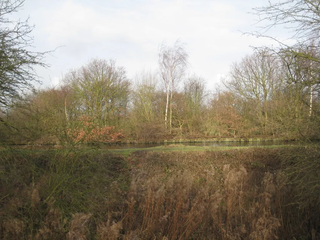 Photo showing: A glimpse of the canal