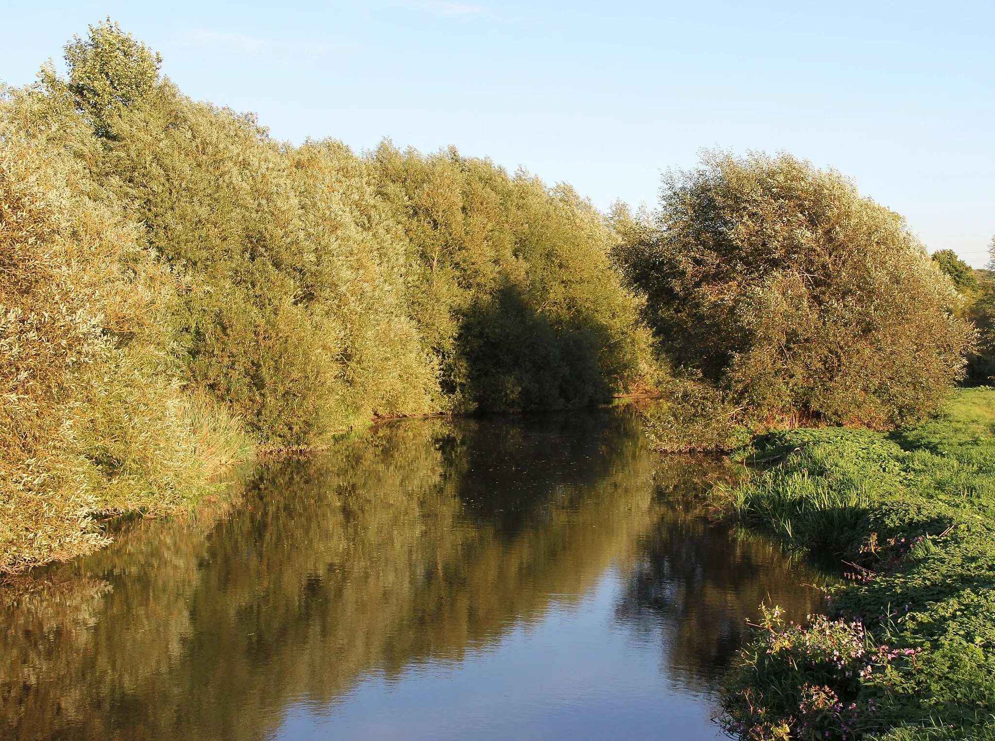 Photo showing: River Rother at Treeton