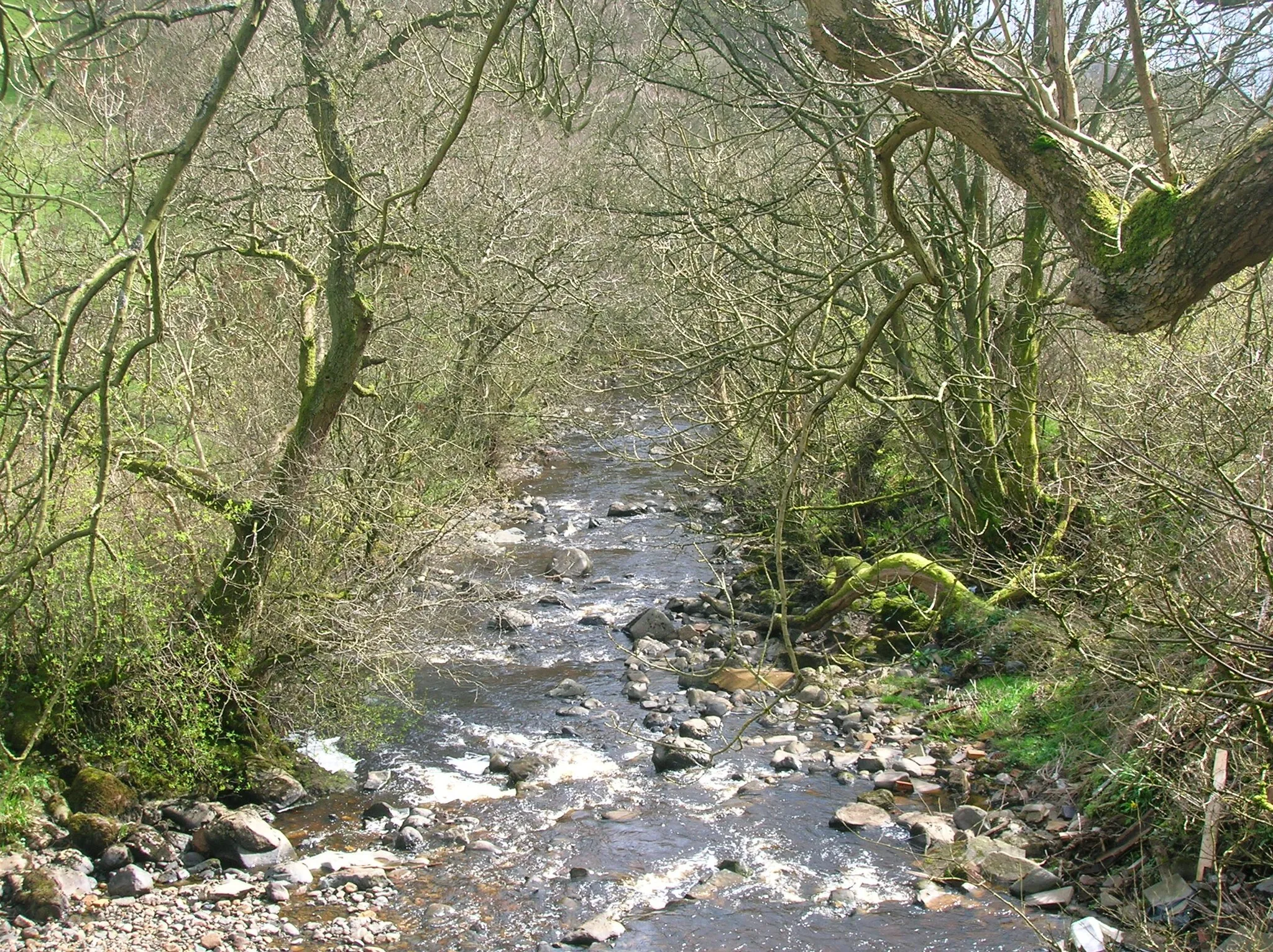 Photo showing: The Glen Water at Law Bridge in Darvel, East Ayrshire, Scotland.