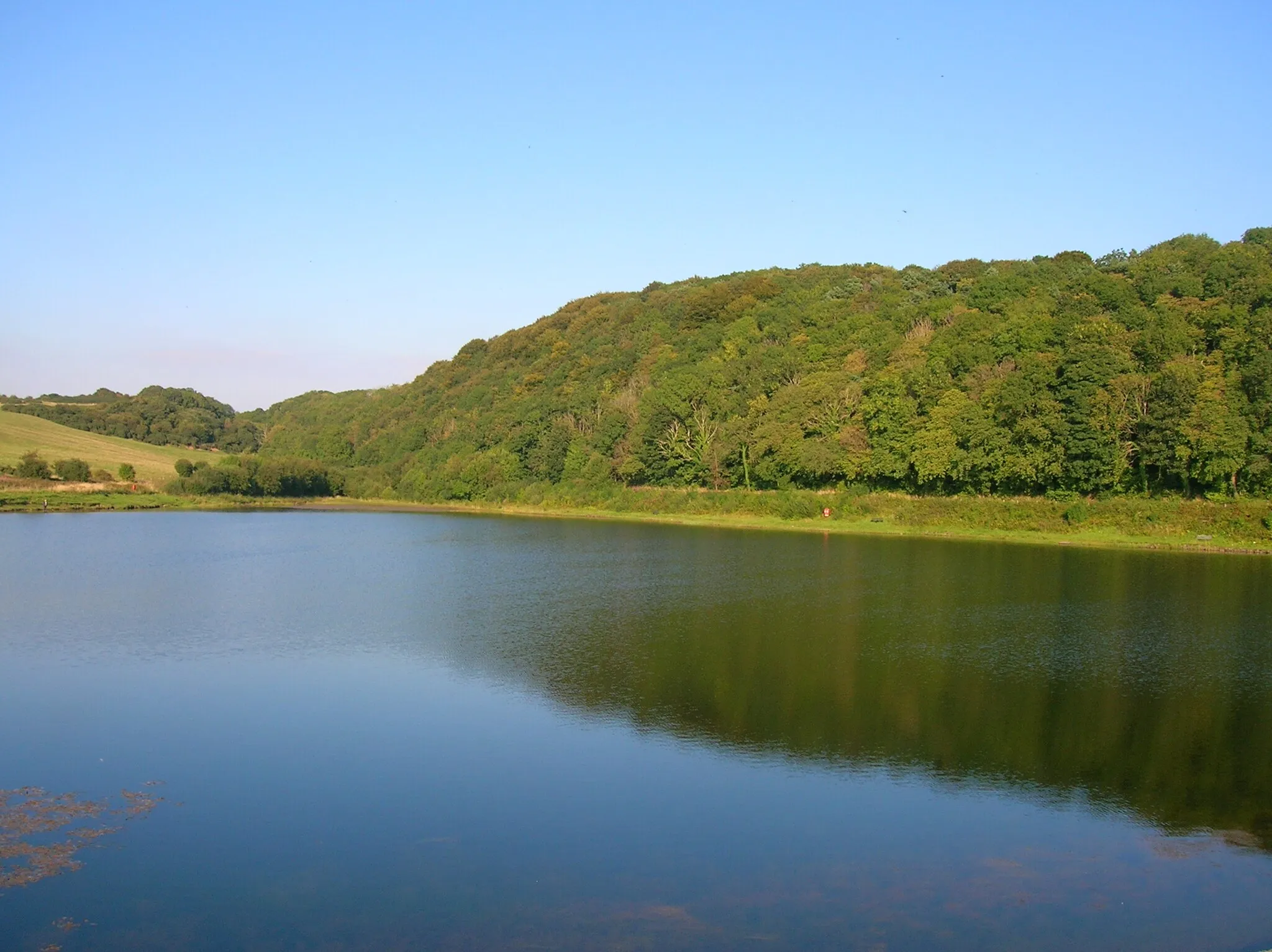 Photo showing: Aught Woods and Collennan Reservoir near Loans / Dundonald, South Ayrshire, Scotland.