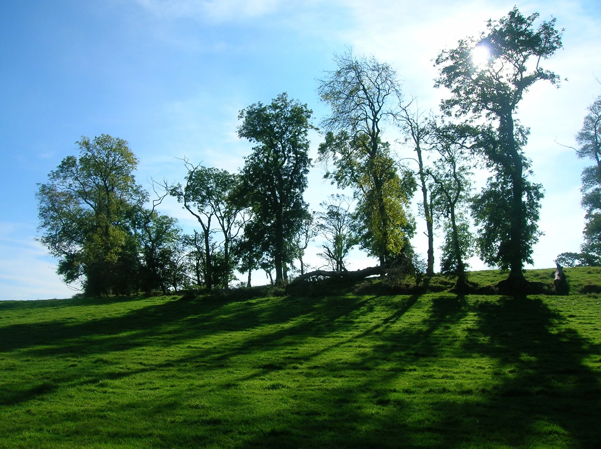 Photo showing: Bowie's Munt, from Knockland hill road, Kilmaurs, East Ayrshire, Scotland. October 2007. Roger Griffith. The circular ditch and bank are visible.