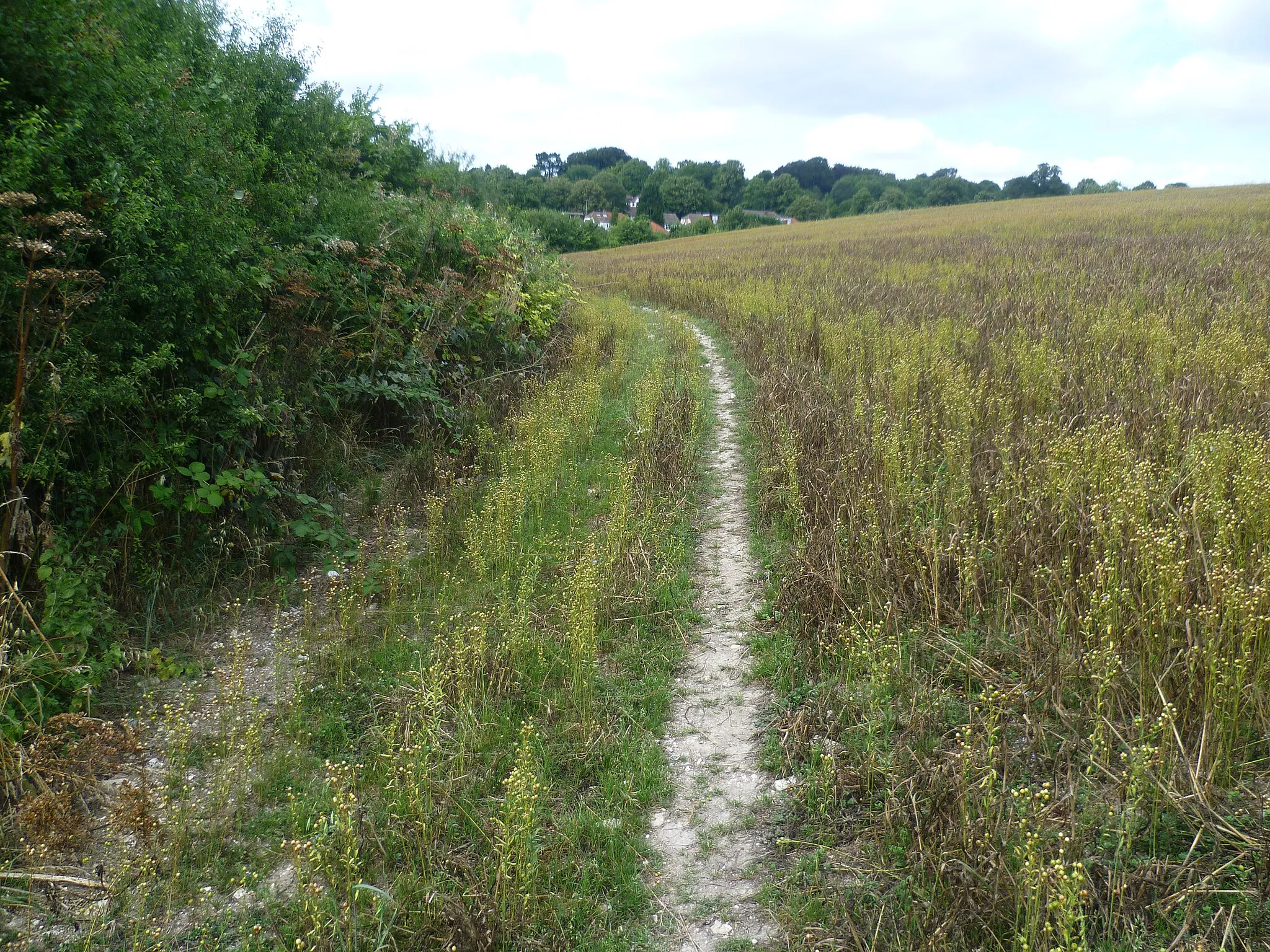 Photo showing: Path alongside Rectory Lane