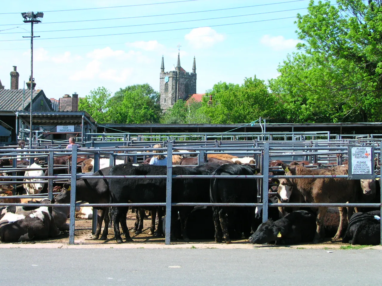 Image of Surrey, East and West Sussex