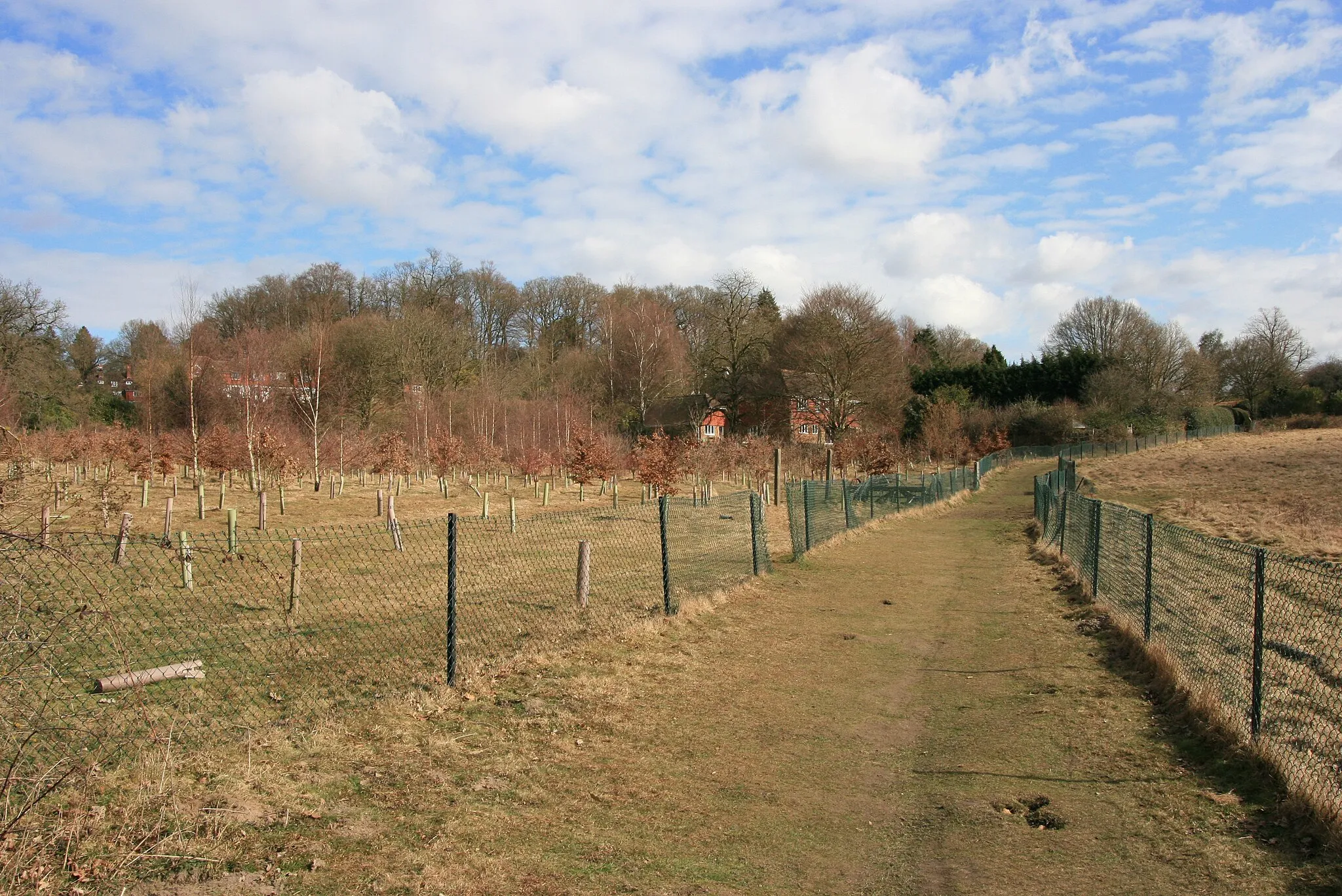 Photo showing: Footpath, Mayford The fencing along this footpath is in a bad state of repair with many gaps and damaged areas.