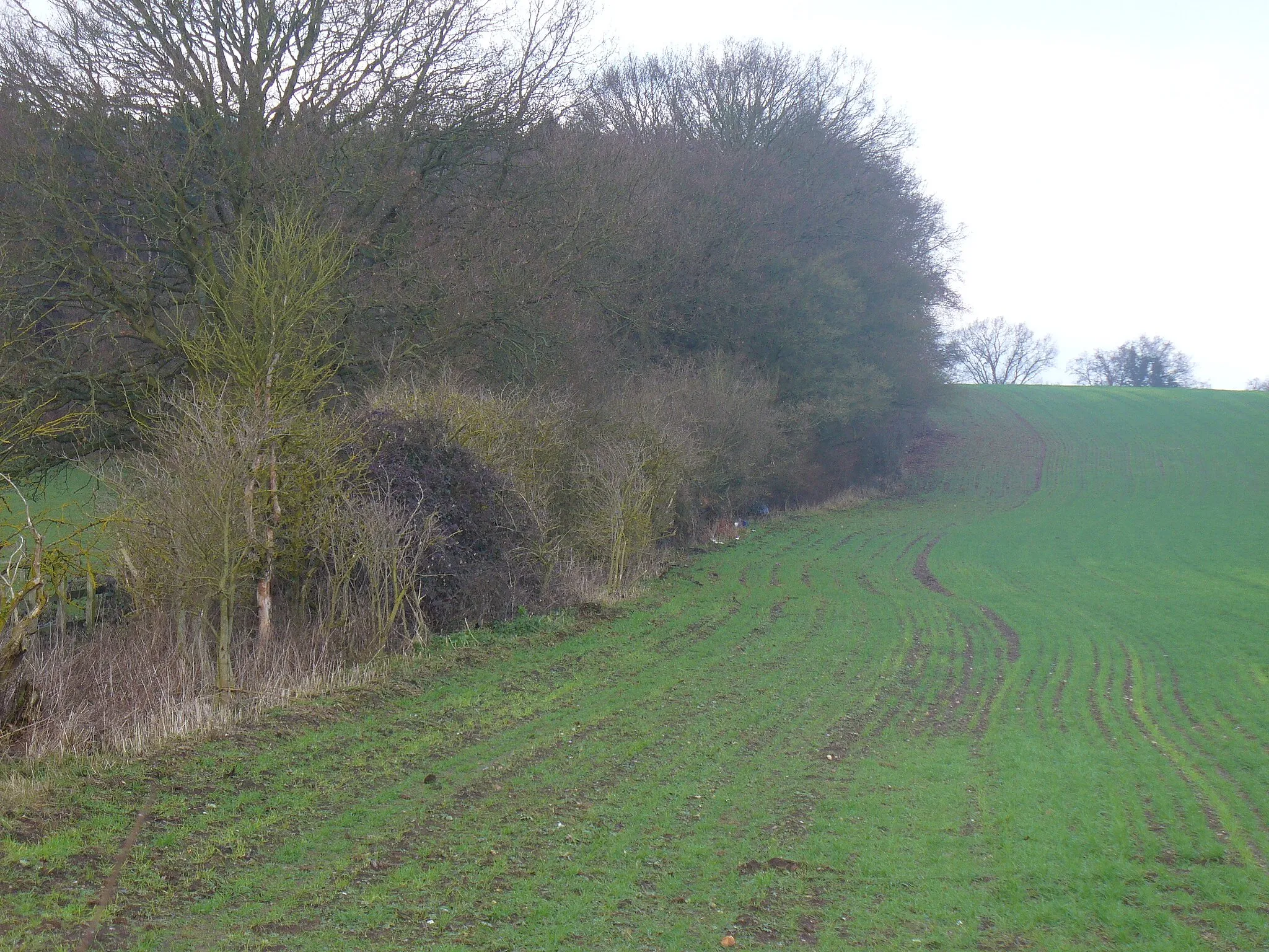 Photo showing: Above Hunts Hill Farm