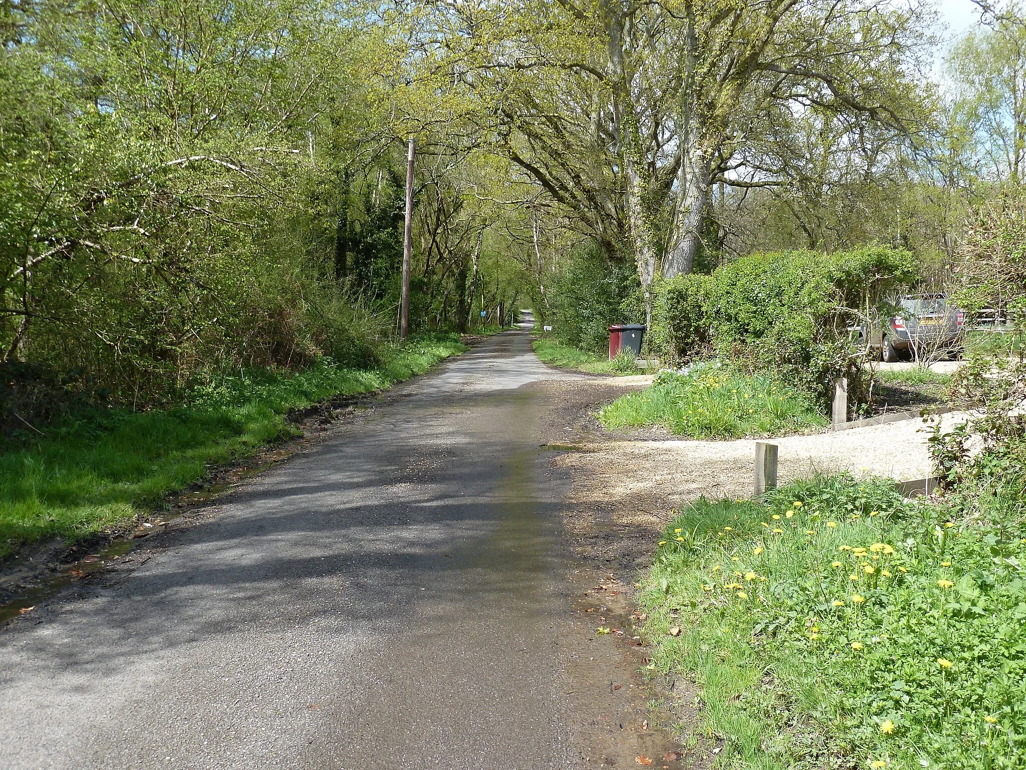 Photo showing: Canhouse Lane towards Rake