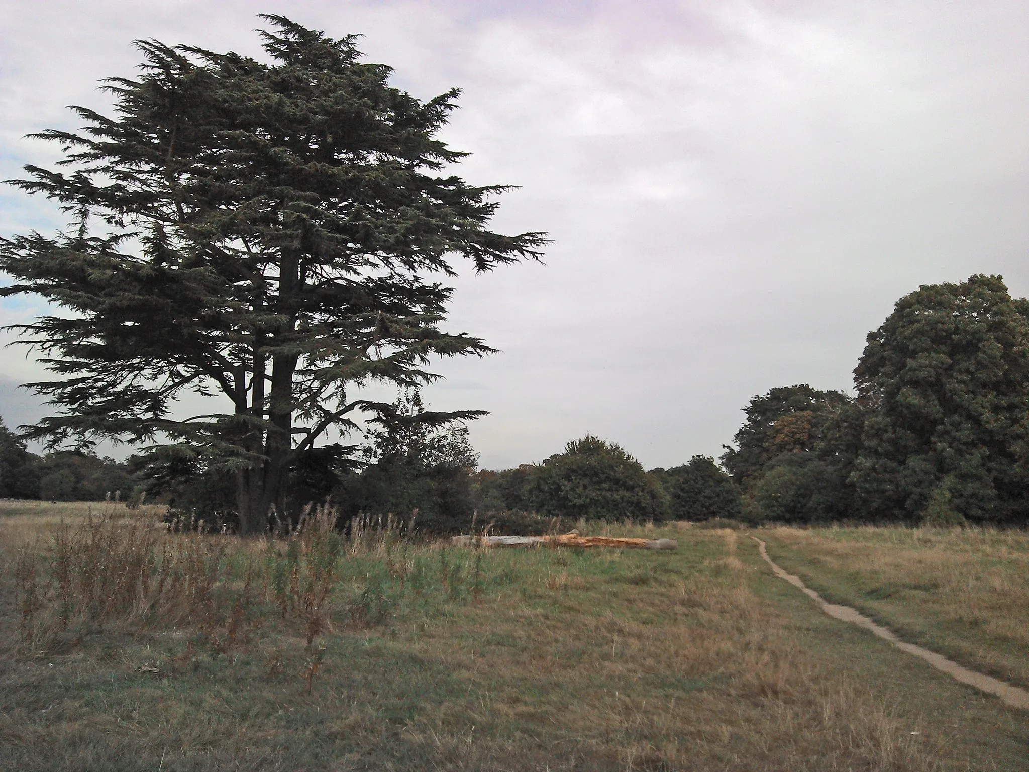 Photo showing: View within Sunbury Park, England an area of near heath/common surrounding the much photographed Walled Garden and much loved by dog walkers and children on bikes.  Friday, 21 September, 2012