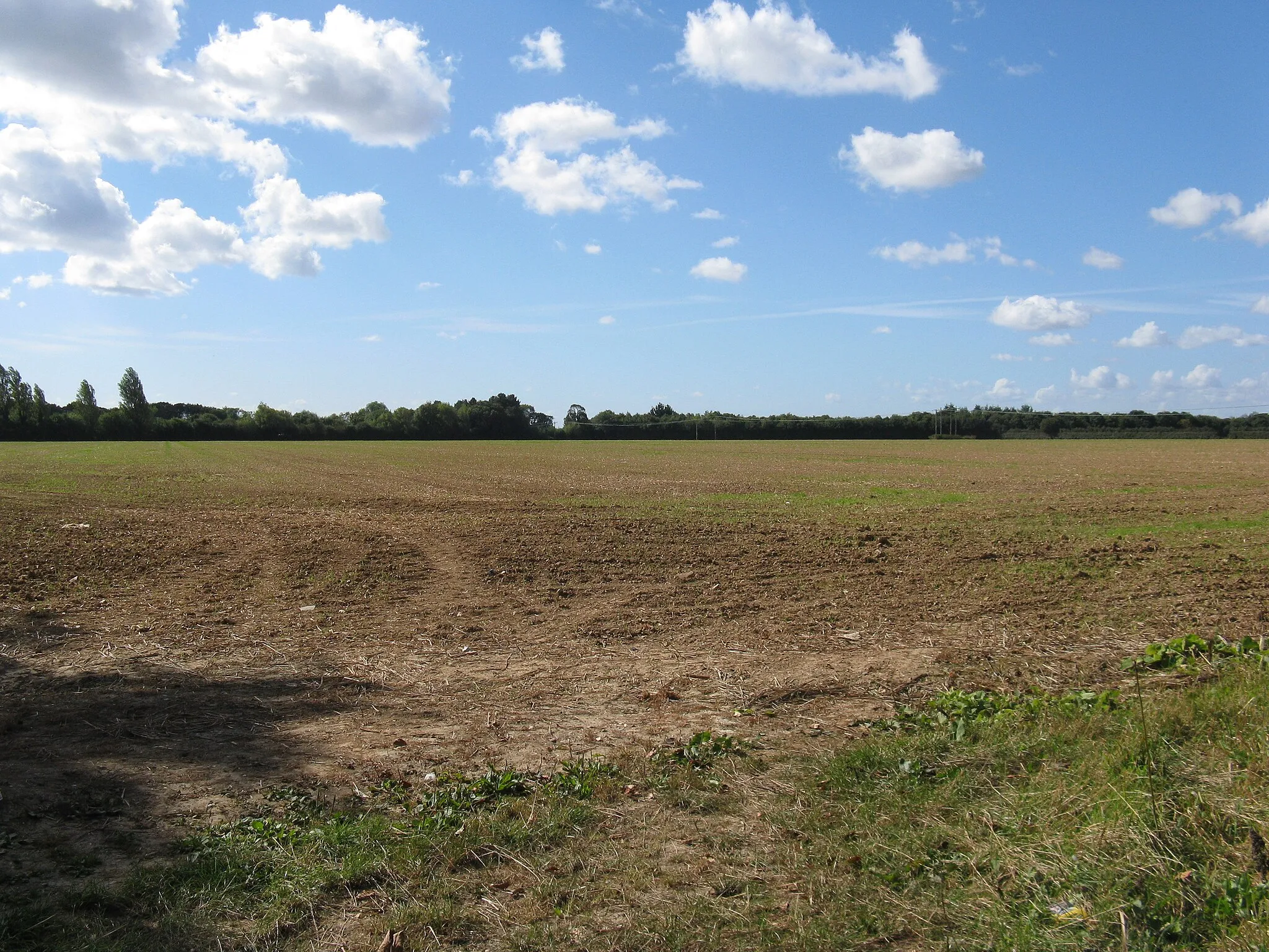 Photo showing: Field off Nyton Road