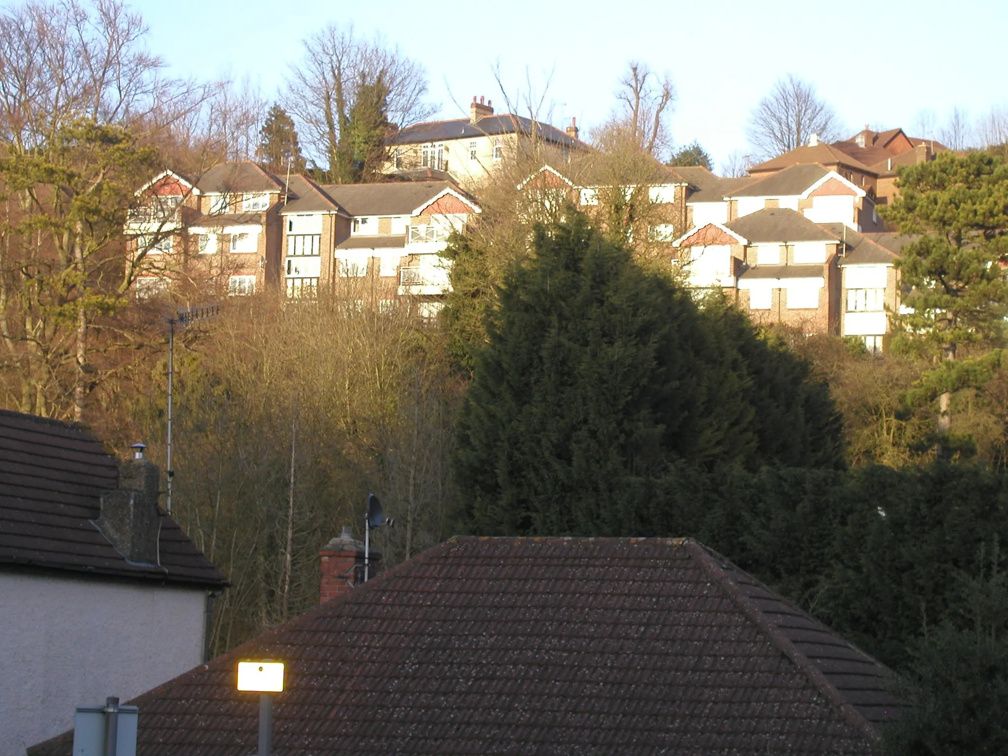 Image of Whyteleafe