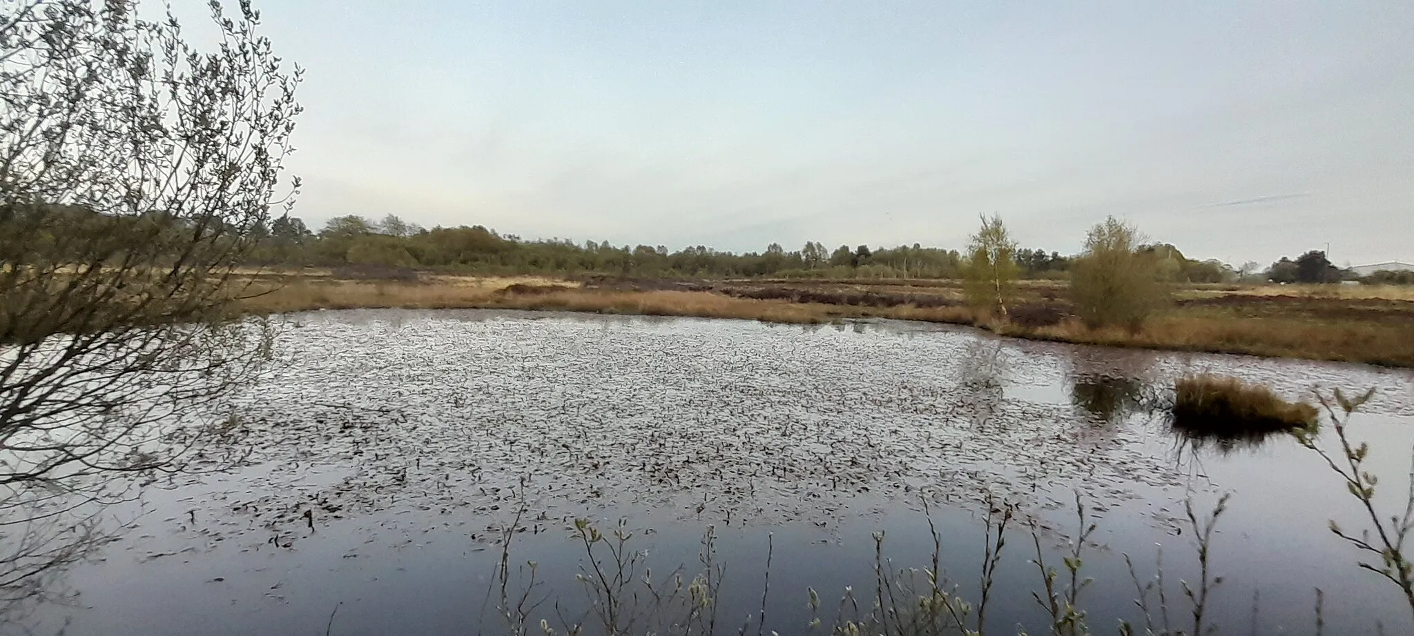 Photo showing: Alexander Pond, Greencroft Nature Reserve