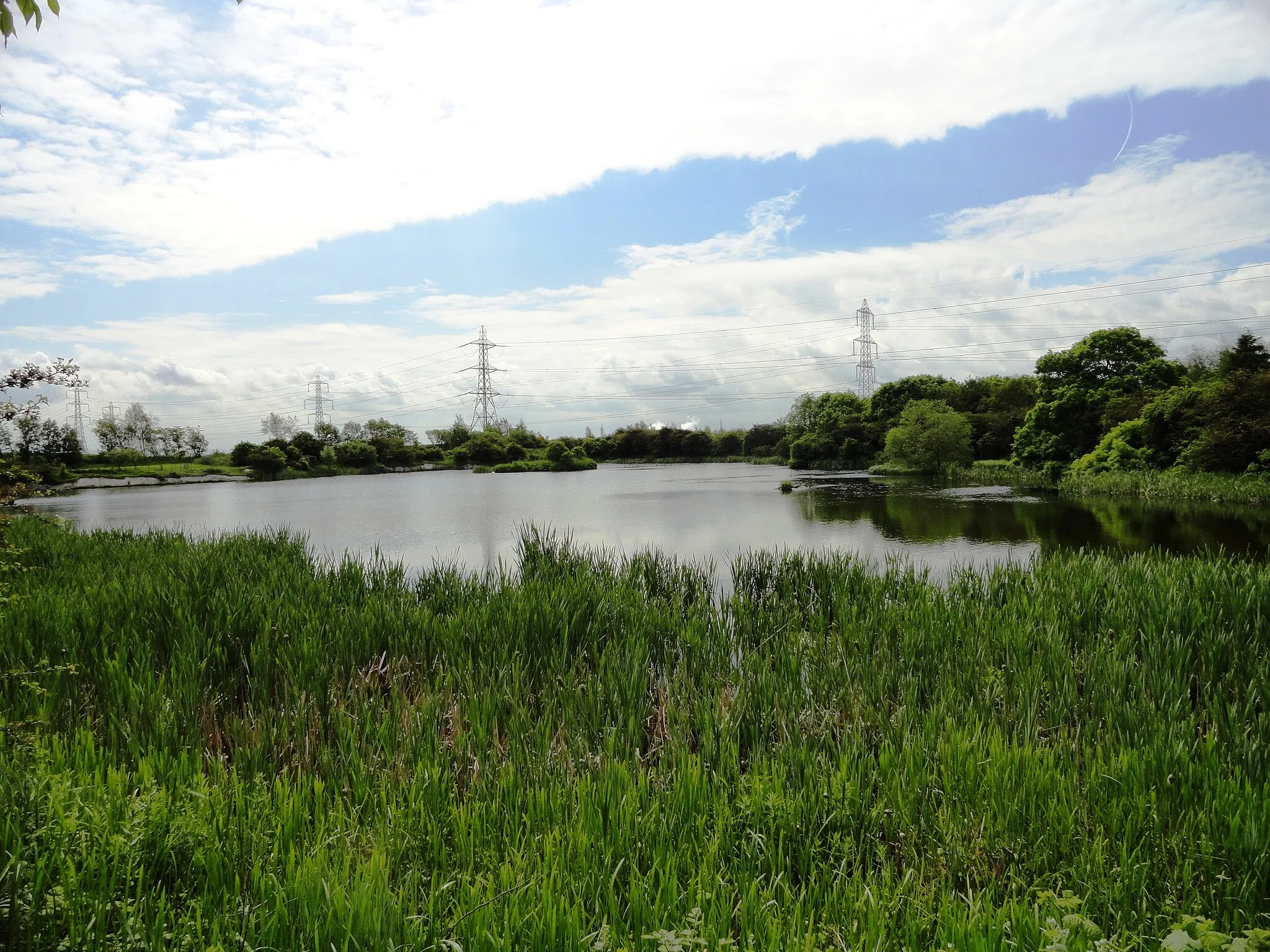 Photo showing: Country Park lake