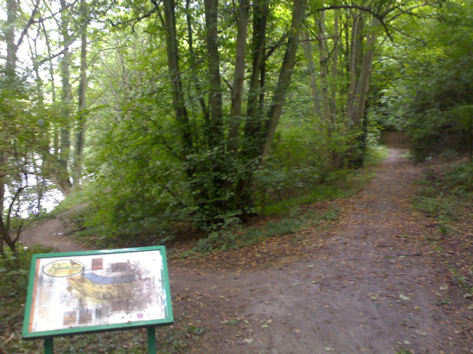 Photo showing: The Rookery woodland in Yarm.