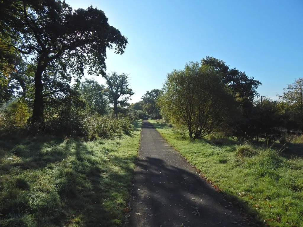 Photo showing: A path in the industrial estate