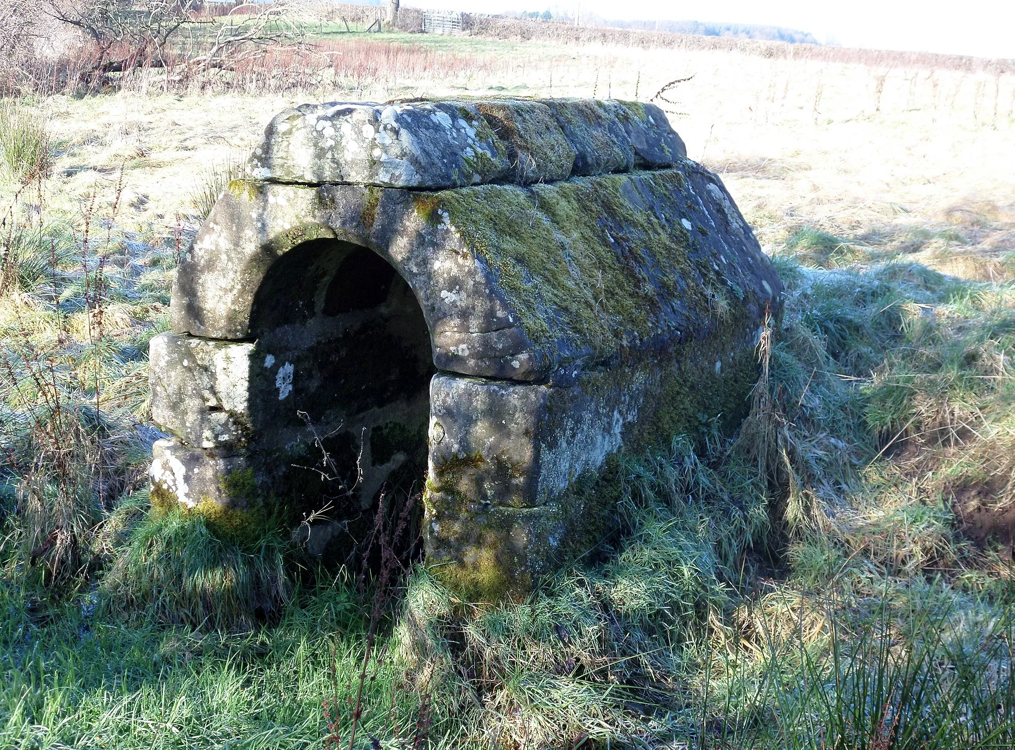 Photo showing: St Peter's Well, Houston - view from the east & opening. A rare example of a covered holy well near the site of an old chapel.