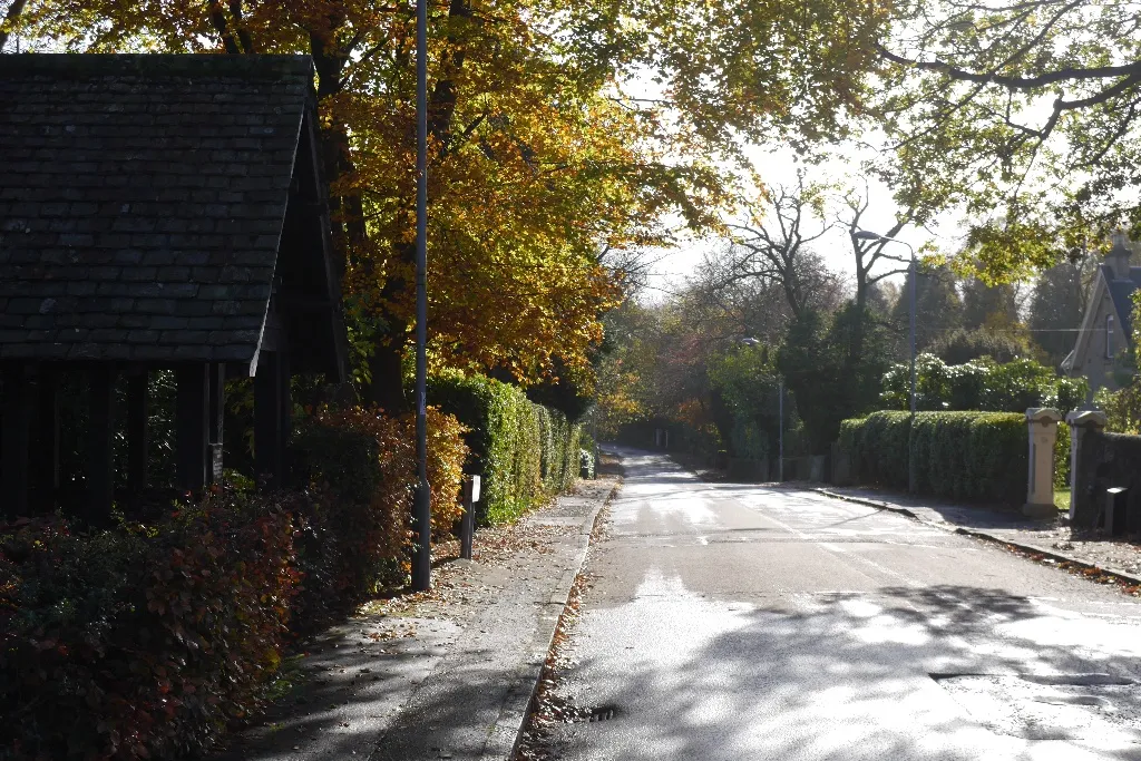 Photo showing: Beech Road, Lenzie