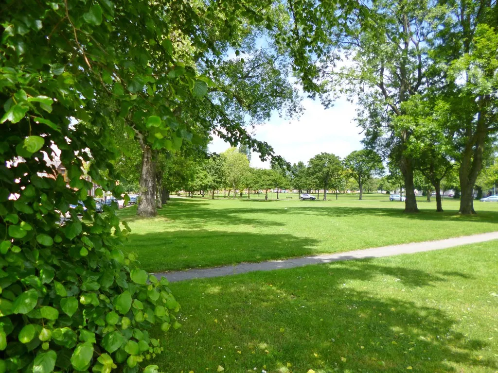 Photo showing: Pelsall Common
