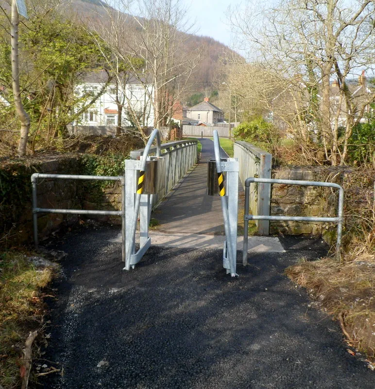 Photo showing: Across a river footbridge in Cwmavon