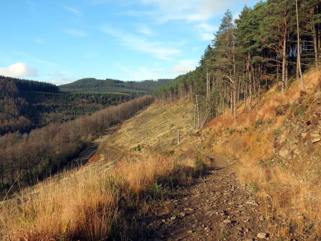 Photo showing: Cwm Garw Fechan
Llwybr yn mynd i lawr y waered o fewn planhigfa goniferaidd yng Nghwm Garw Fechan.

A path descending within a conifer plantation in Cwm Garw Fechan (trans. lesser rough [river] valley).