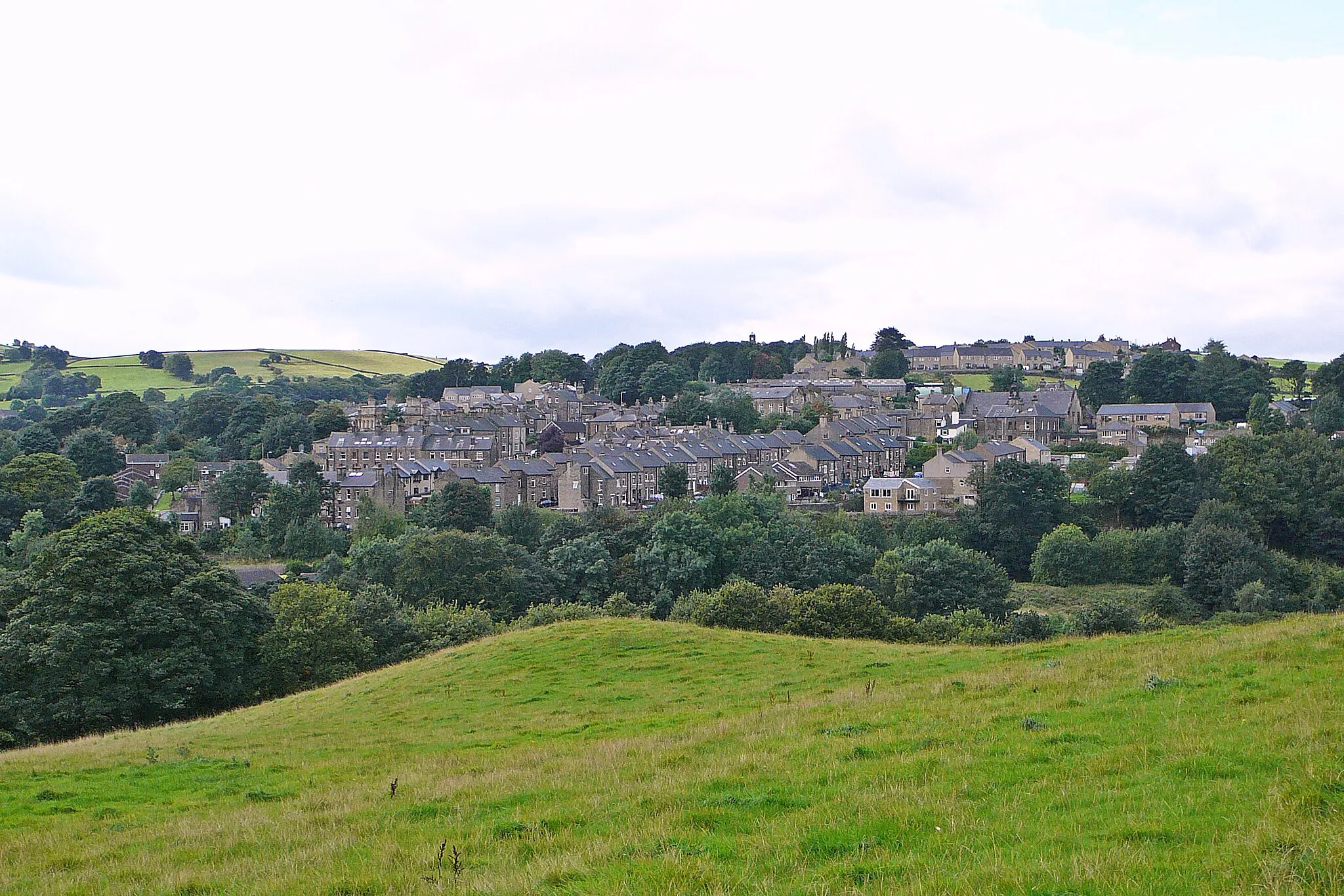 Photo showing: View of Holywell Green