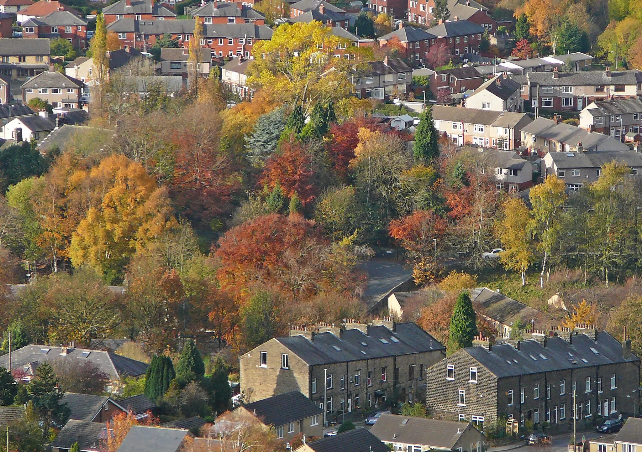 Photo showing: The last colours of autumn in Mytholmroyd, Calderdale, West Yorkshire.  Taken on Sunday the 7th of November 2010.