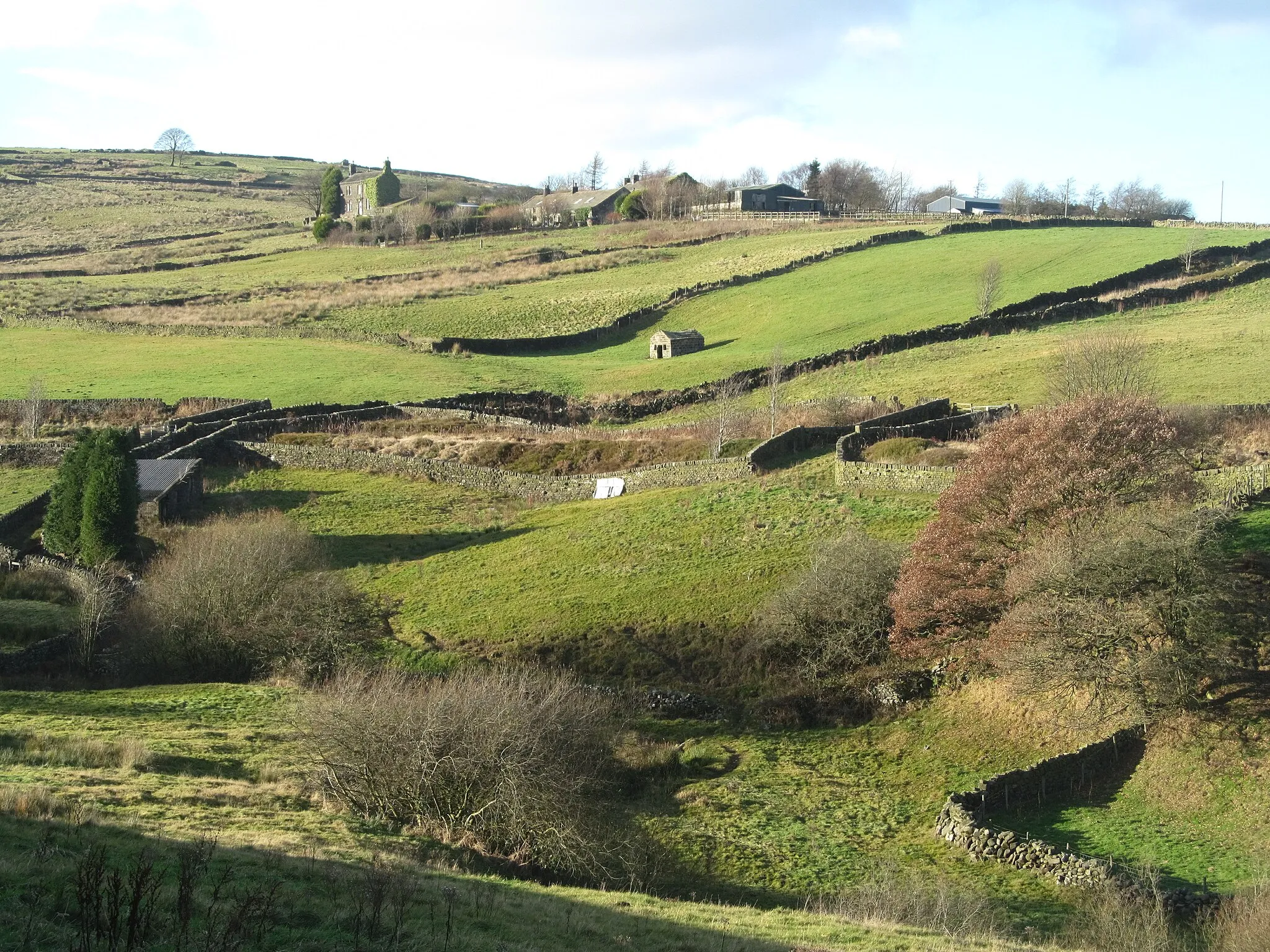 Photo showing: Across Rag Clough towards Lower Fold Farm
