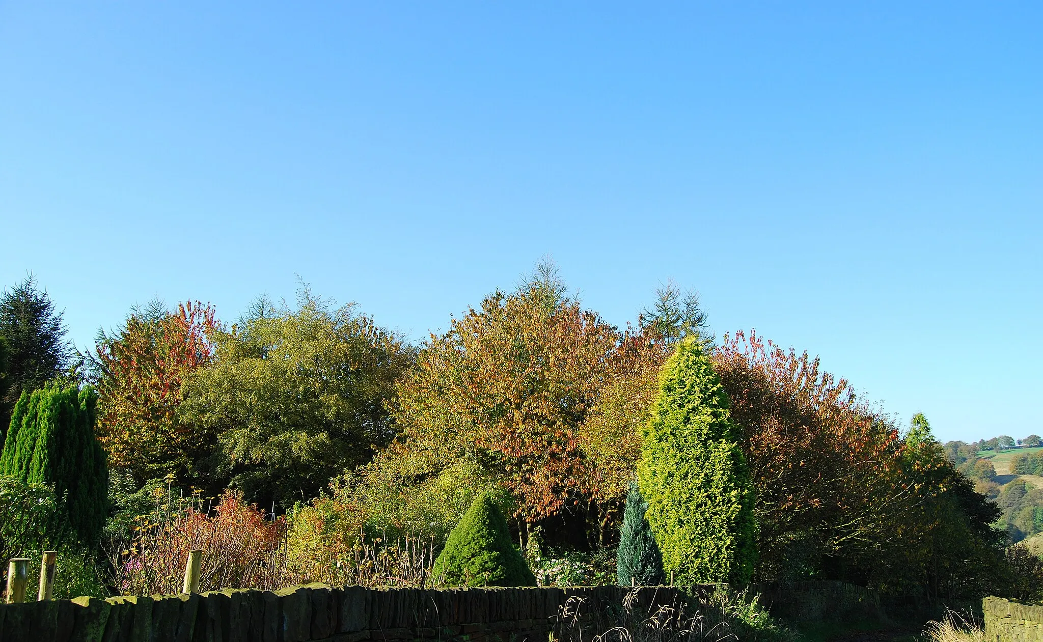 Photo showing: Autumn colours, Bare Head Lane, Queensbury
