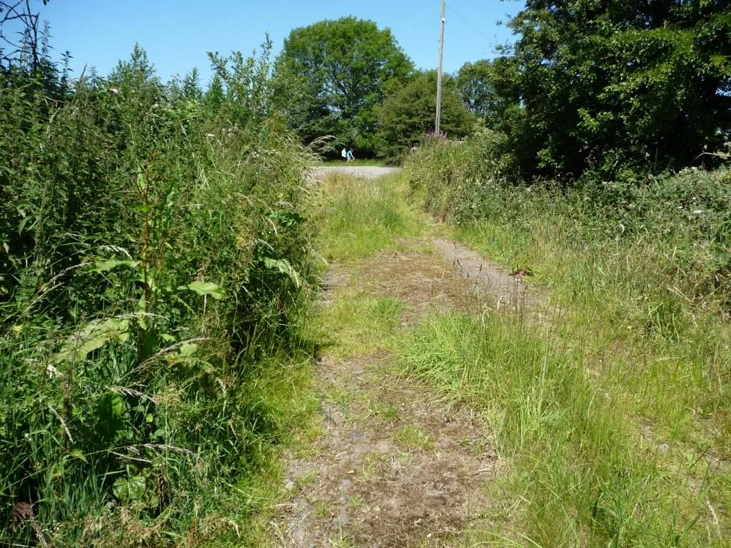 Photo showing: Farm track to Bark House Lane
