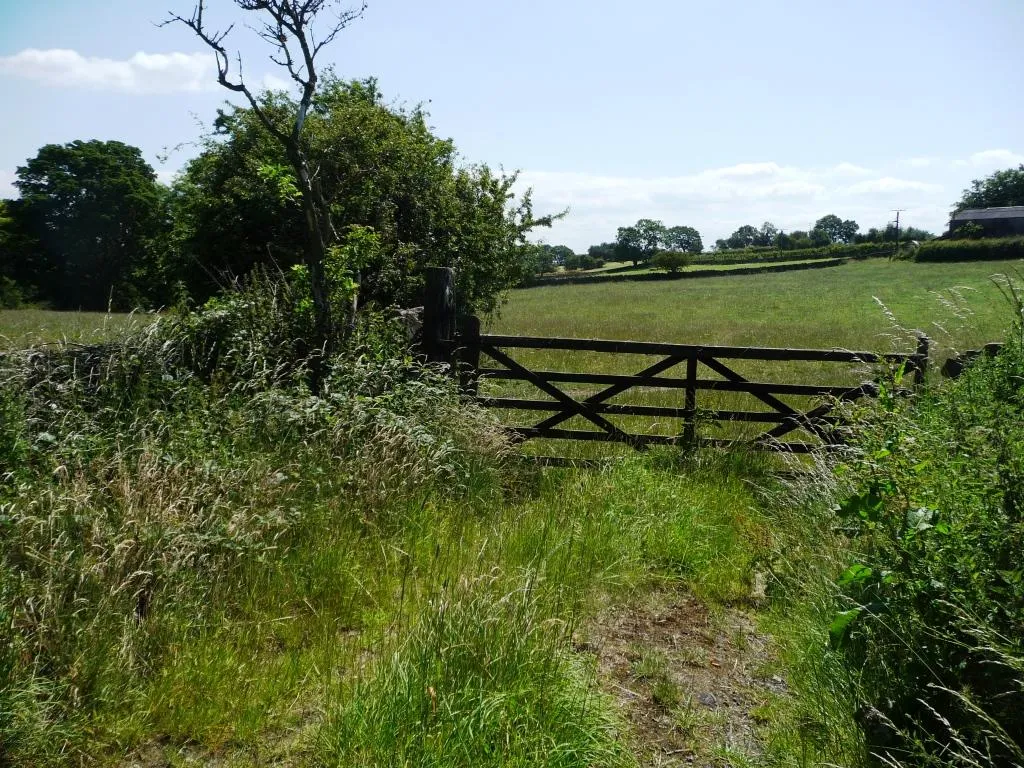 Photo showing: Field gate off Bark House Lane