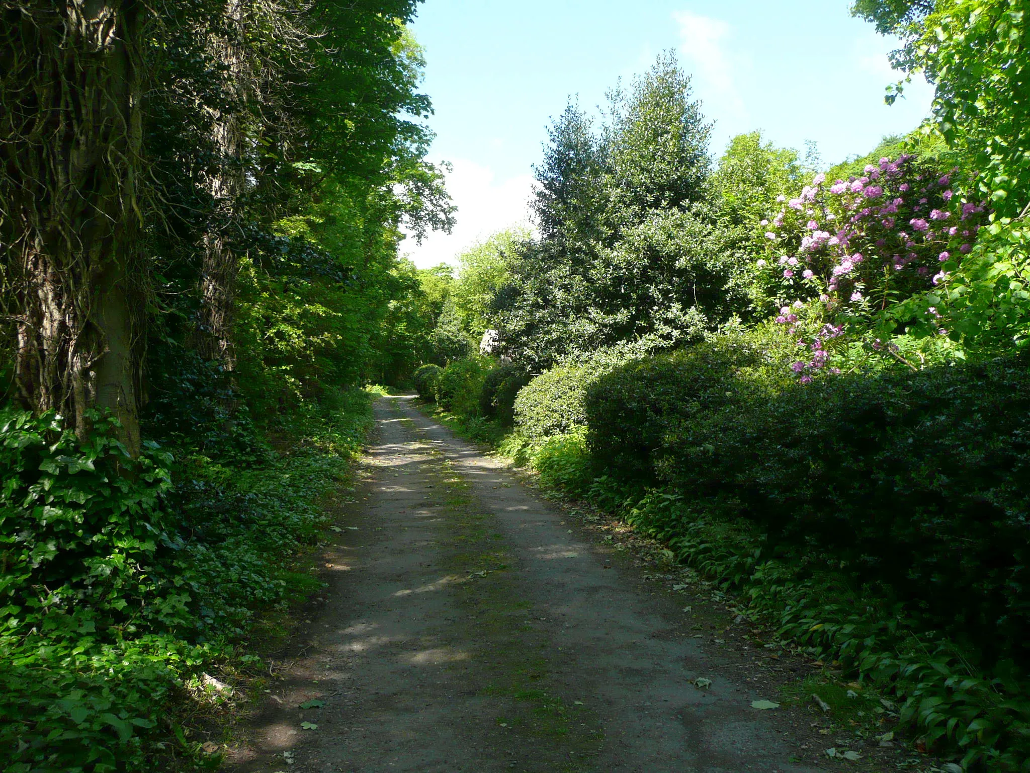 Photo showing: Binns Top Lane, Southowram