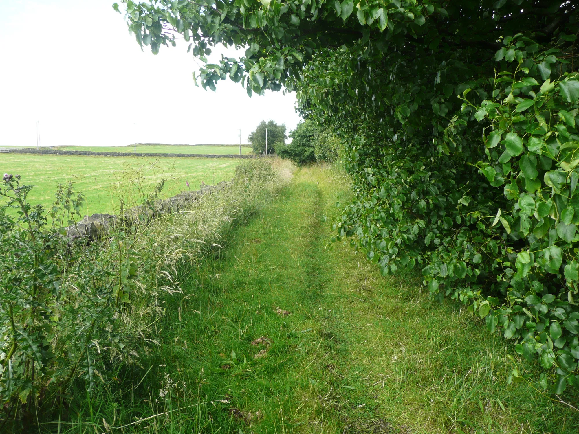Photo showing: Brighouse FP129 on a field access track, Southowram