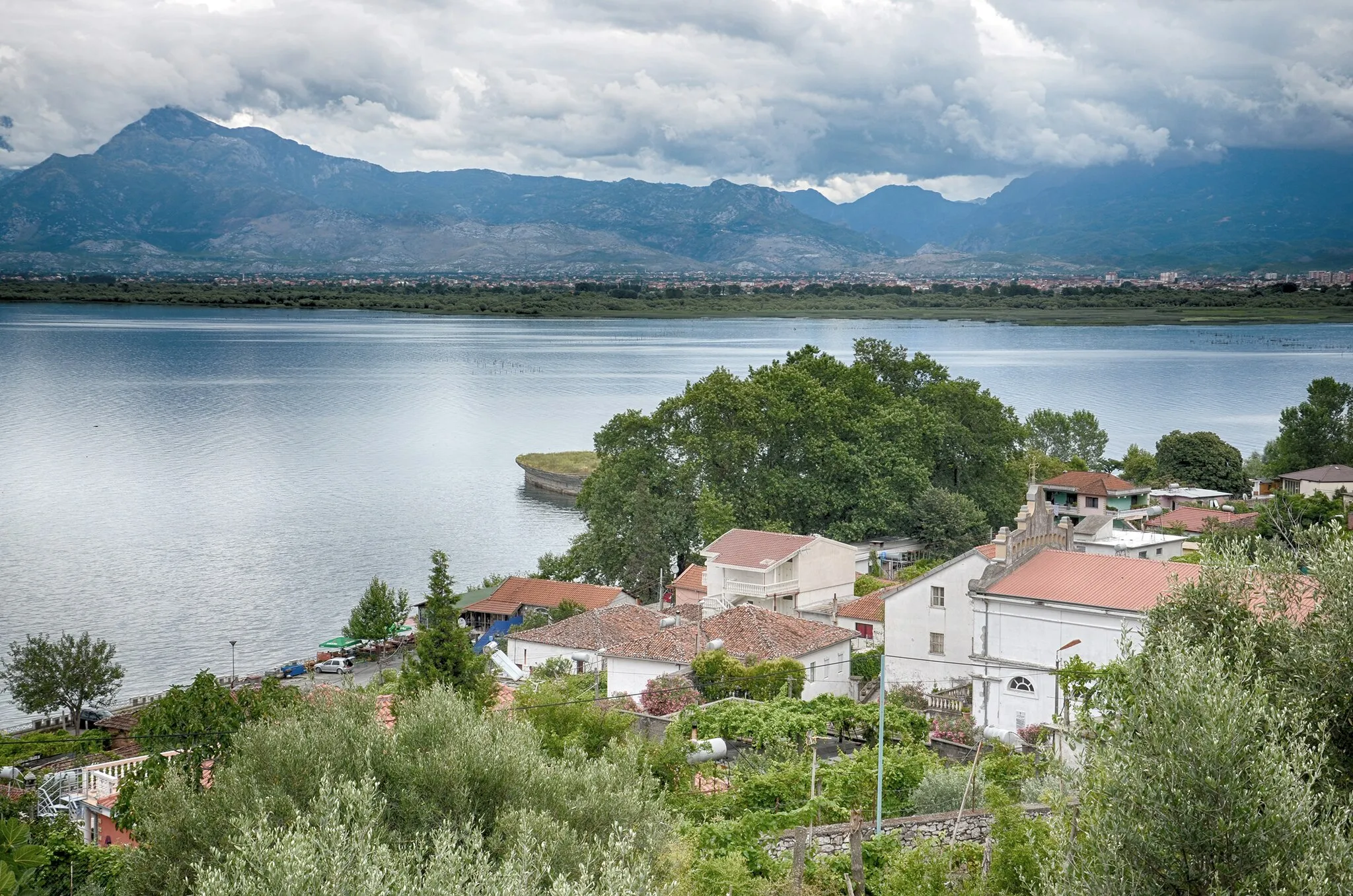 Photo showing: The Lake Shkodër by Shirokë